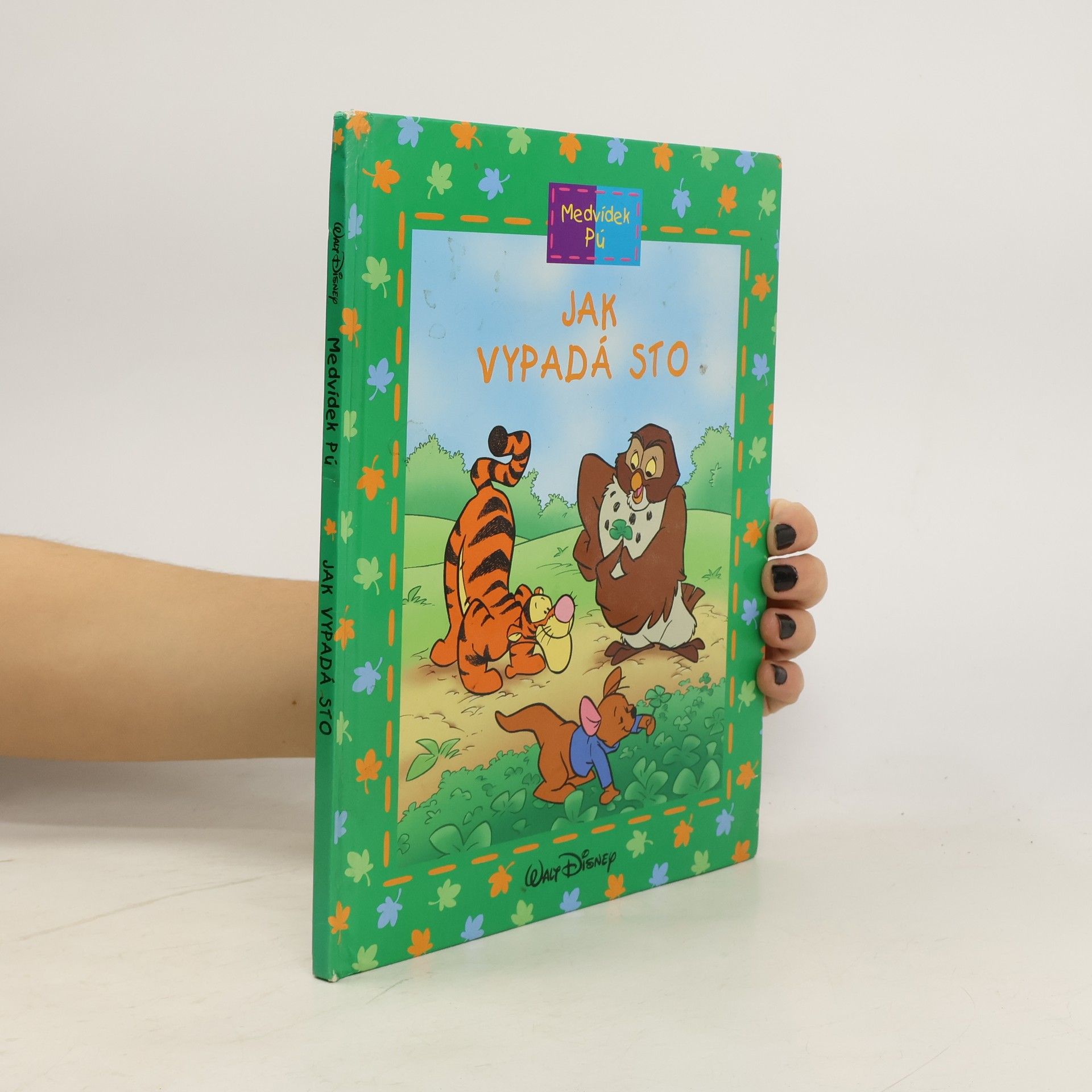 Kolektív autorov Medvídek Pú. Jak vypadá sto