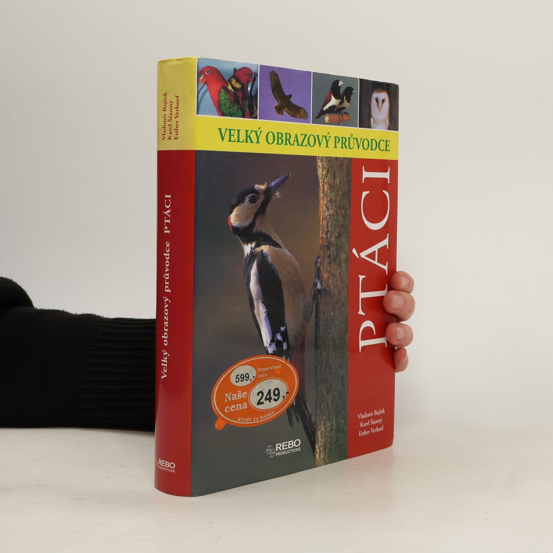 Esther Verhoef Ptáci - Velký obrazový průvodce