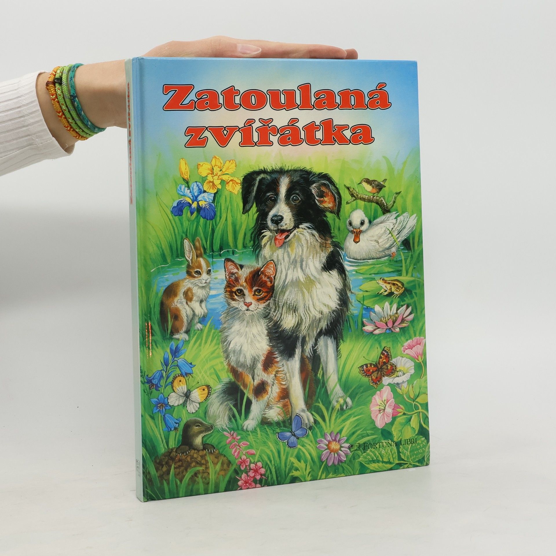 Zatoulaná zvířátka