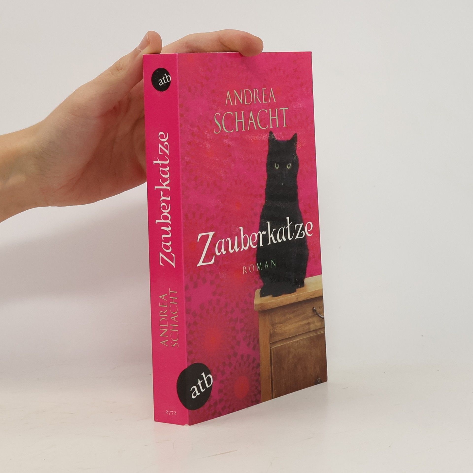 Andrea Schacht Zauberkatze