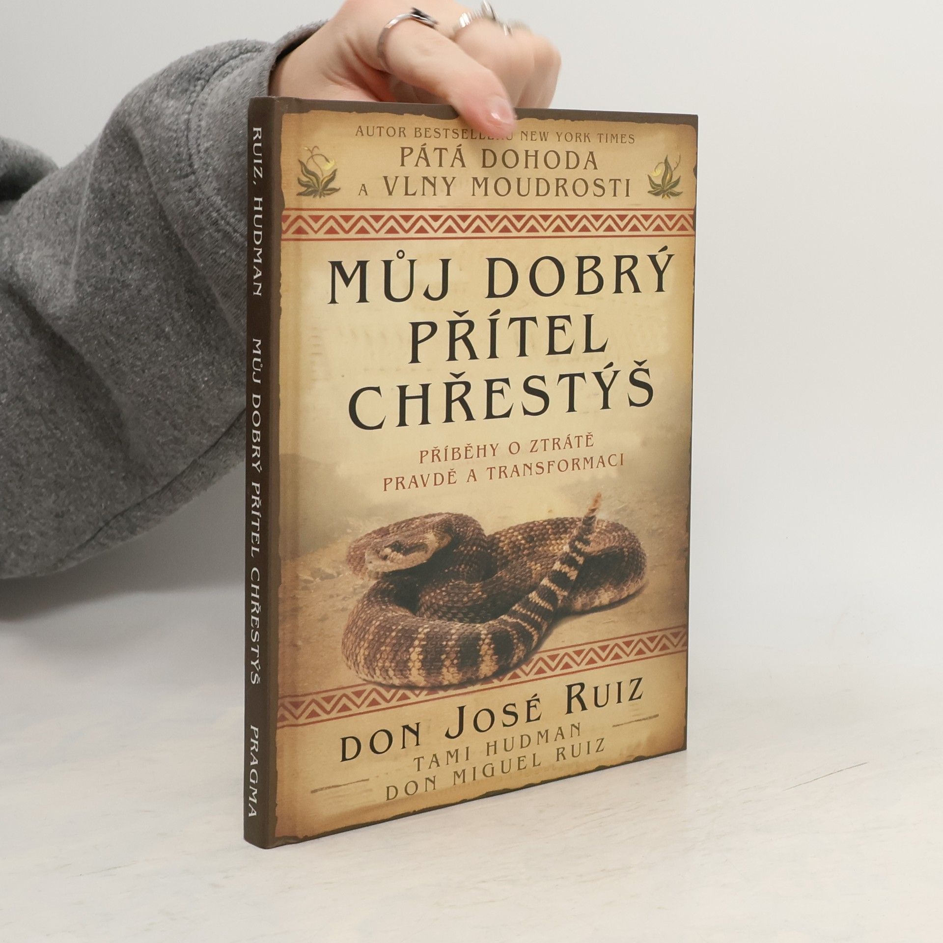 Don Jose Ruiz Můj dobrý přítel chřestýš : příběhy o ztrátě, pravdě a transformaci