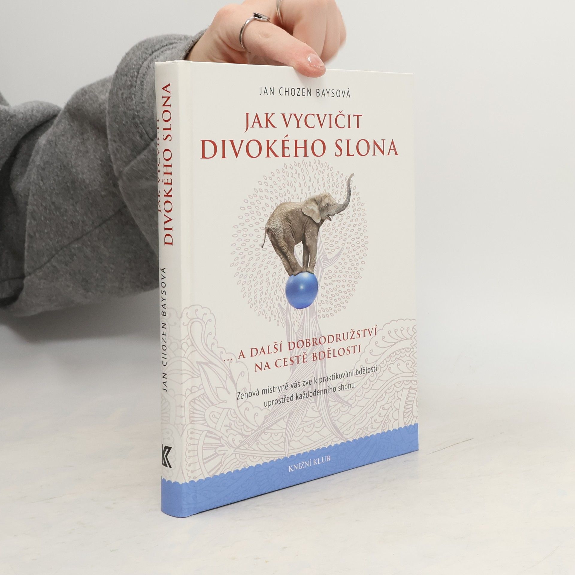 Jan Chozen Bays Jak vycvičit divokého slona...a další dobrodružství na cestě bdělosti
