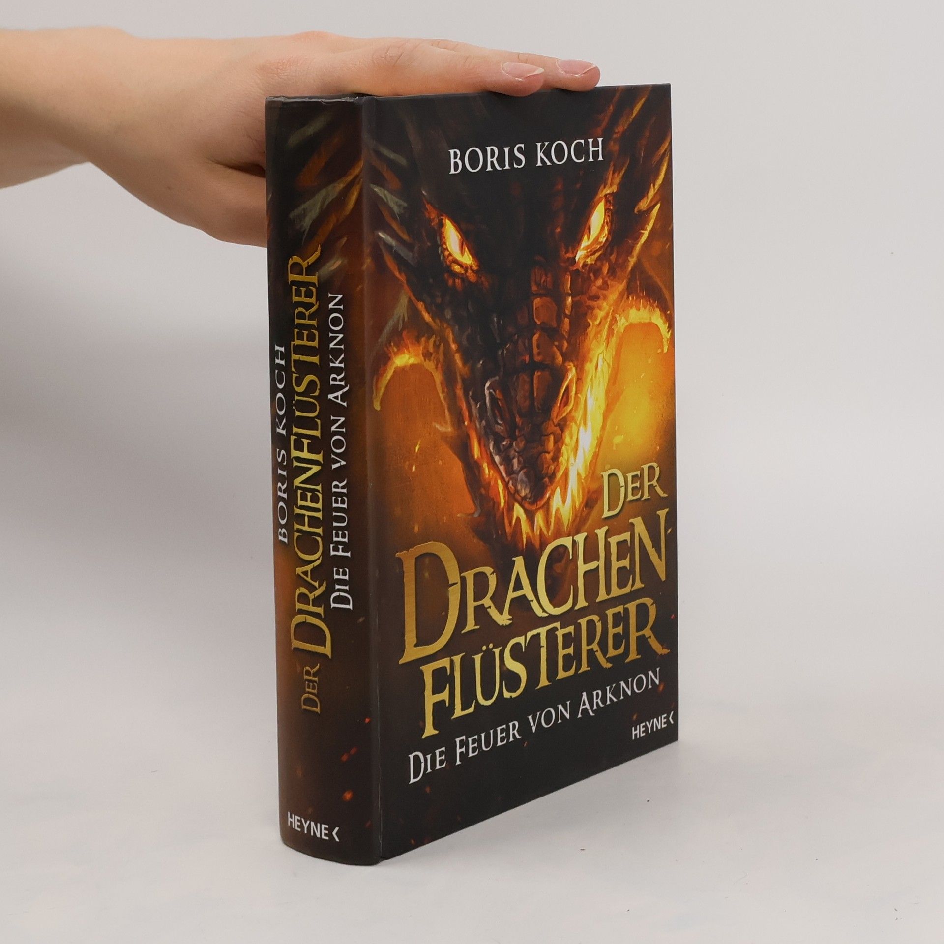 Boris Koch Der Drachenflüsterer - die Feuer von Arknon