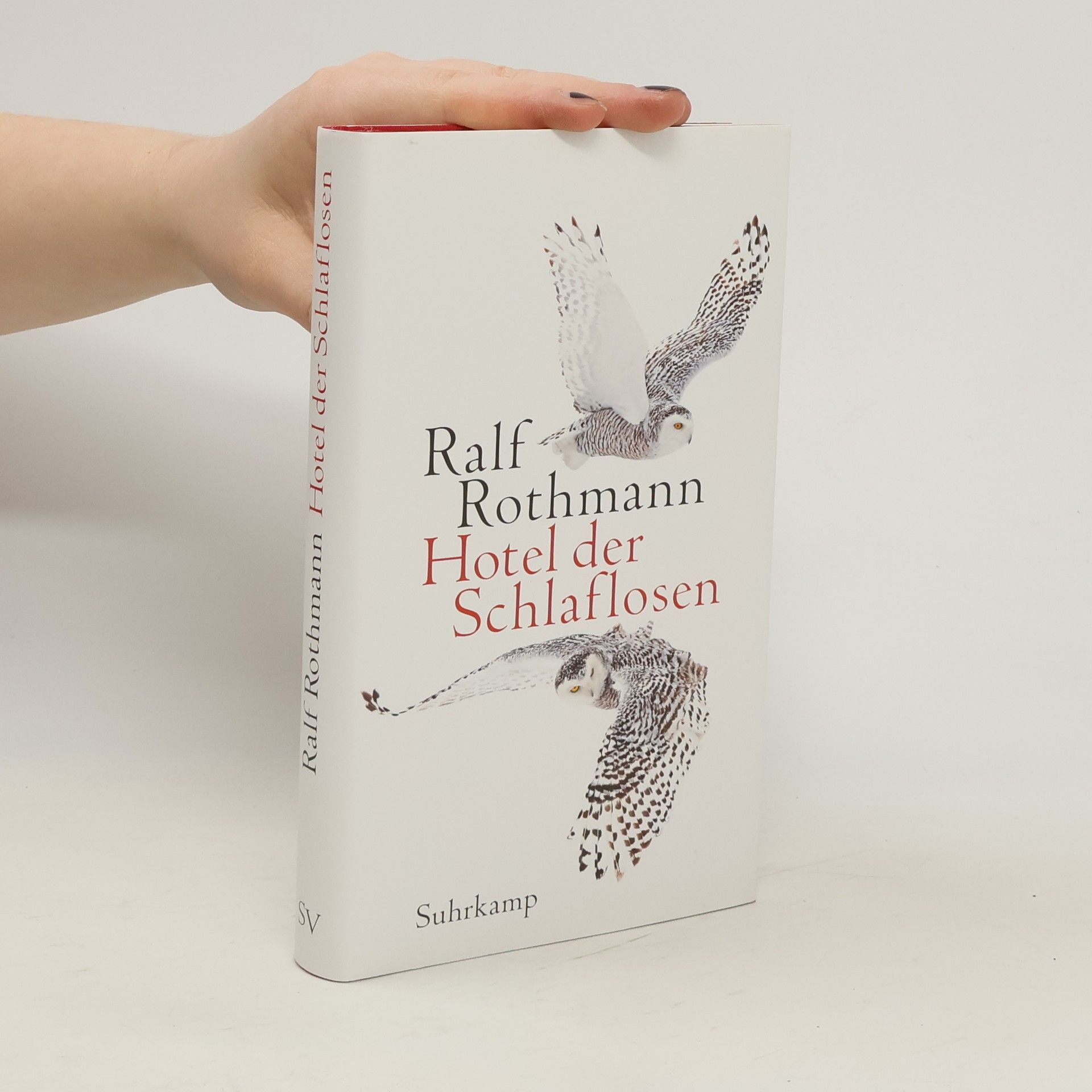 Ralf Rothmann Hotel der Schlaflosen