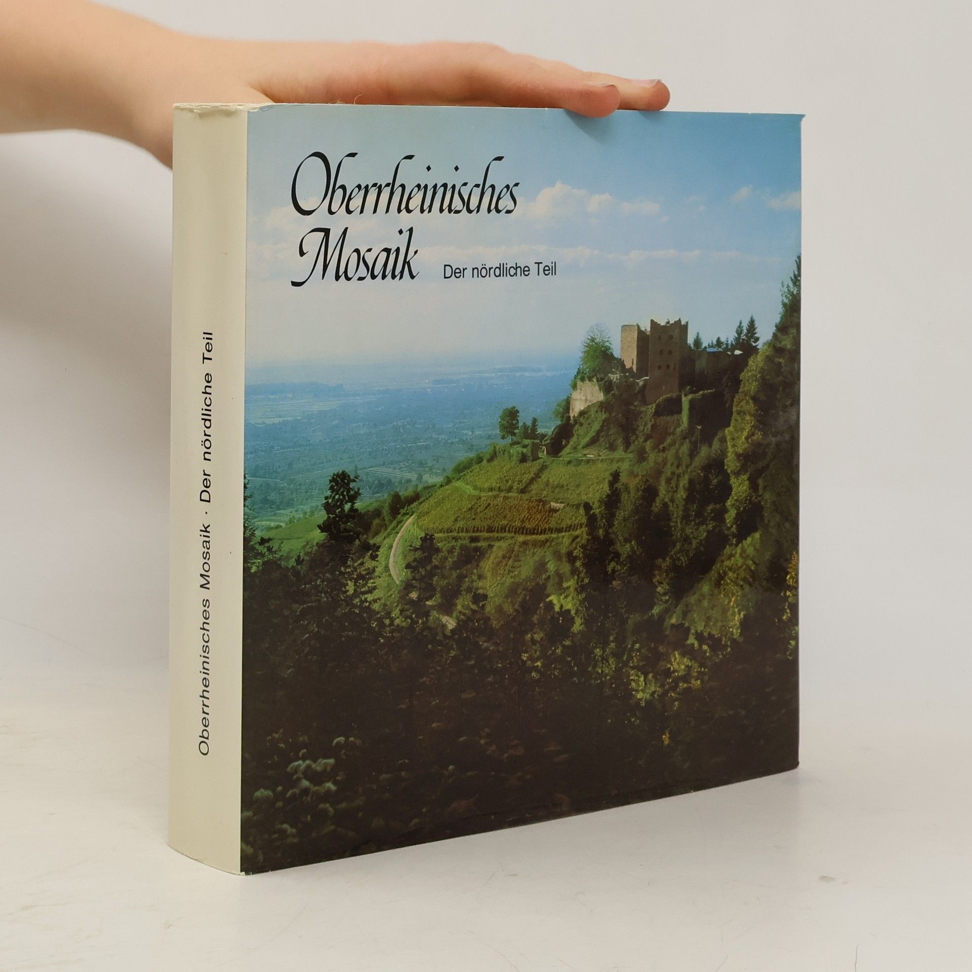 Oberrheinisches Mosaik : Der nördliche Teil