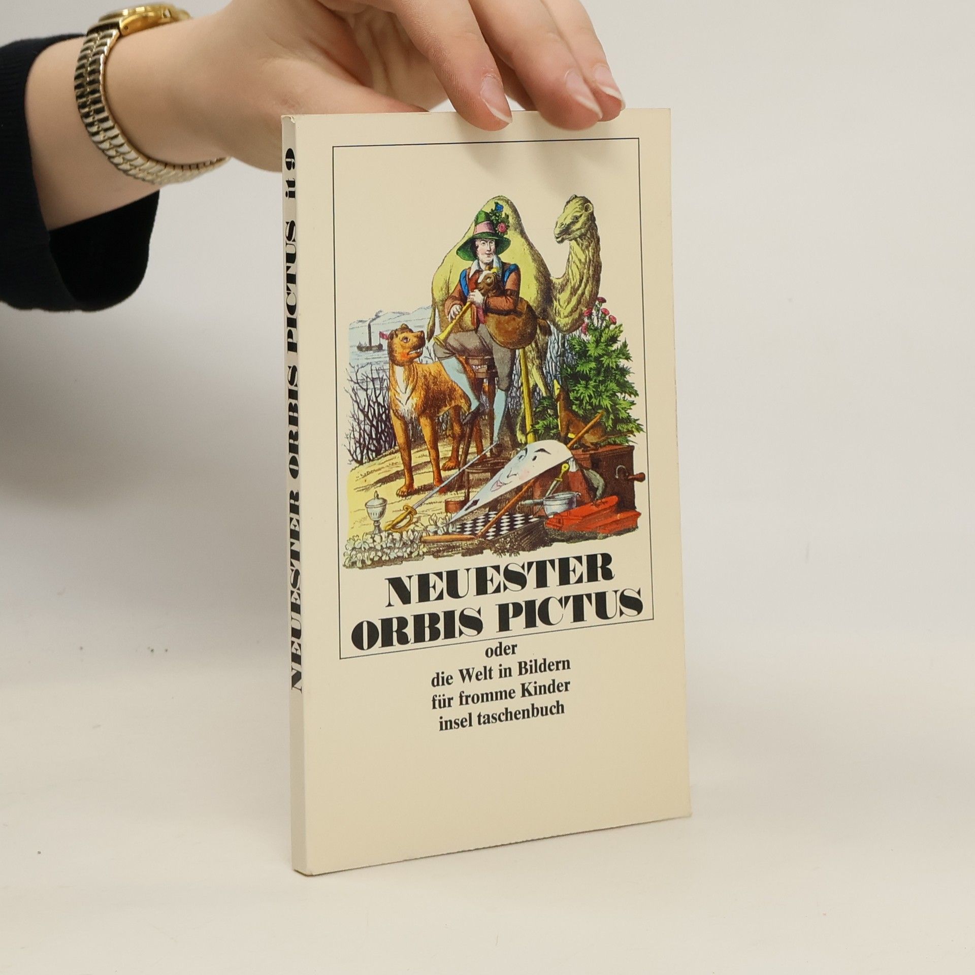 AA.VV. Neuester Orbis Pictus oder die Welt in Bildern für fromme Kinder