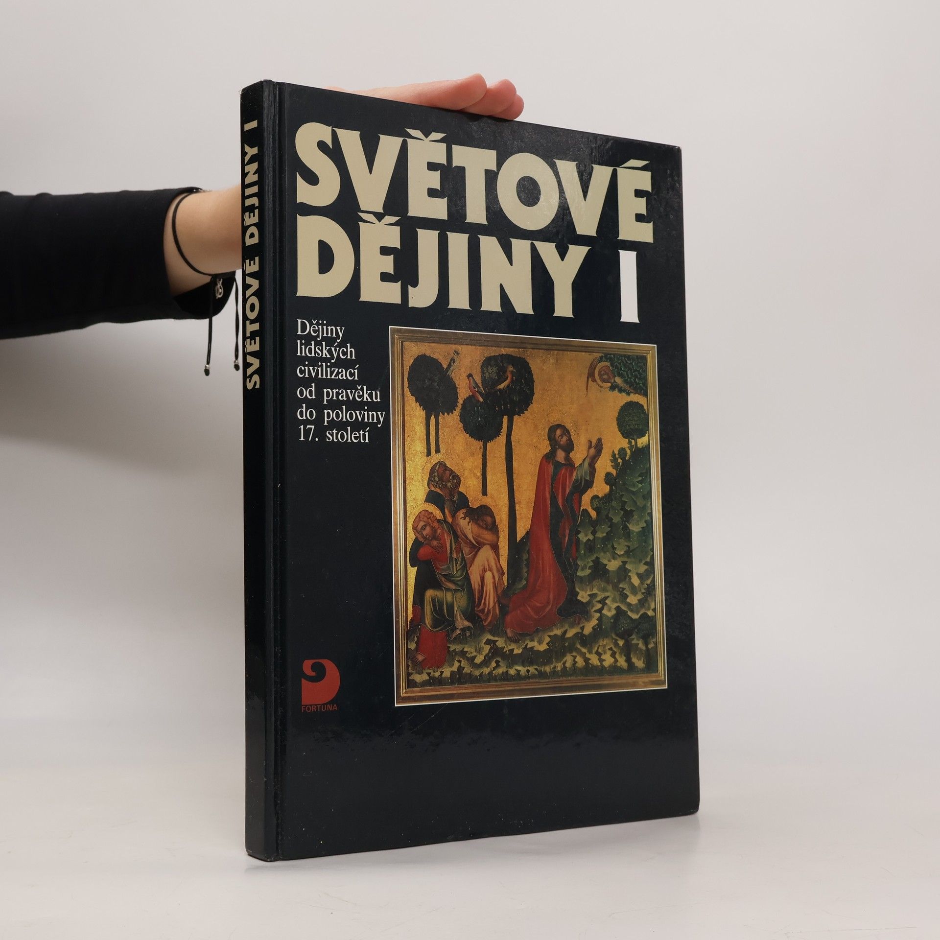 Světové dějiny I. Dějiny lidských civilizací od pravěku do poloviny 17. století