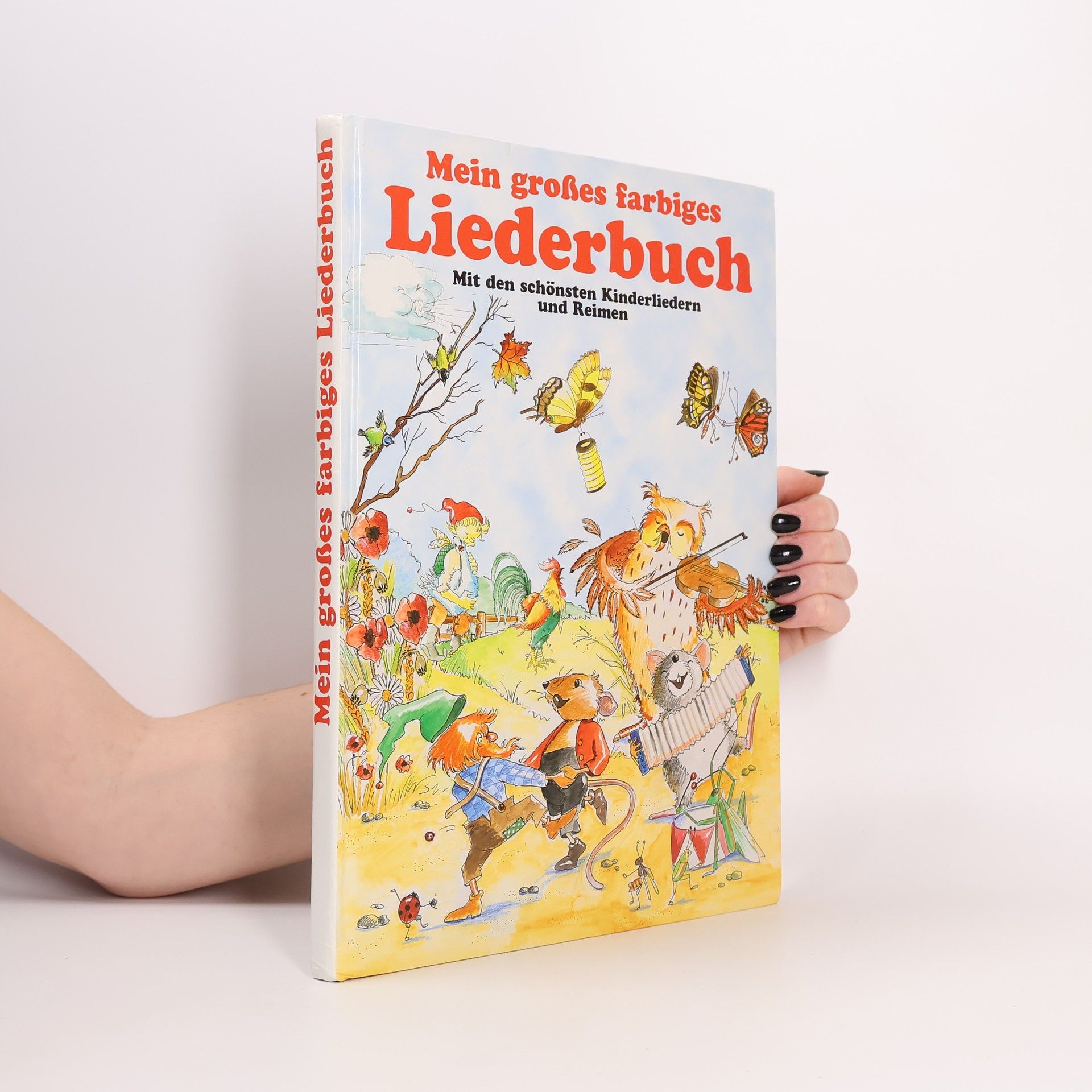 Autorenkollektiv Mein großes farbiges Liederbuch