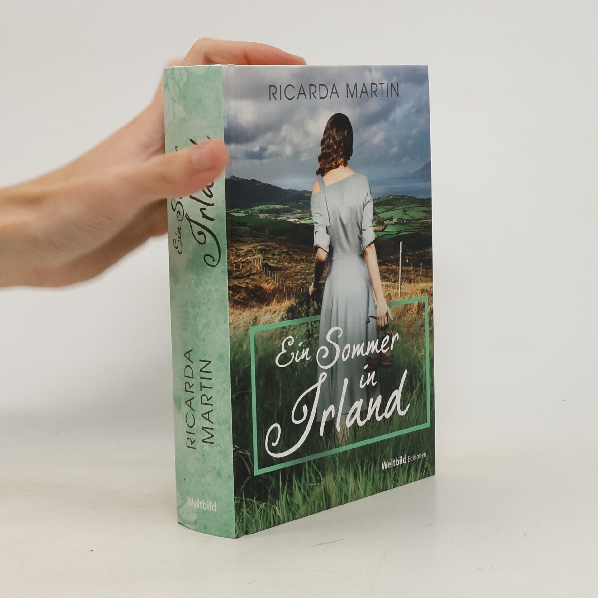 Ricarda Martin Ein Sommer in Irland