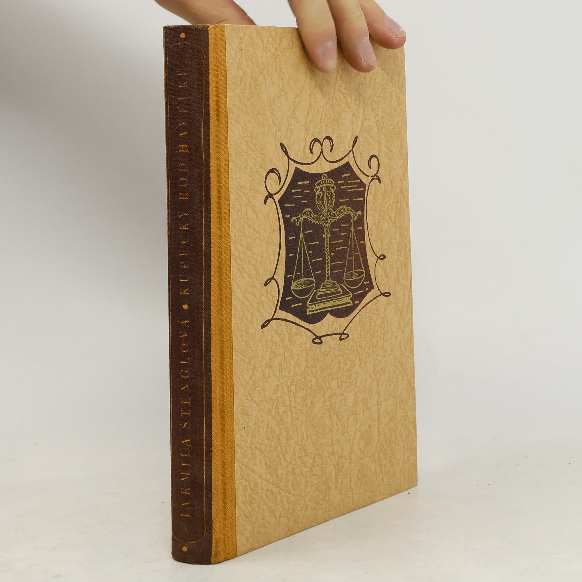 Kupecký rod Havelků : [román]