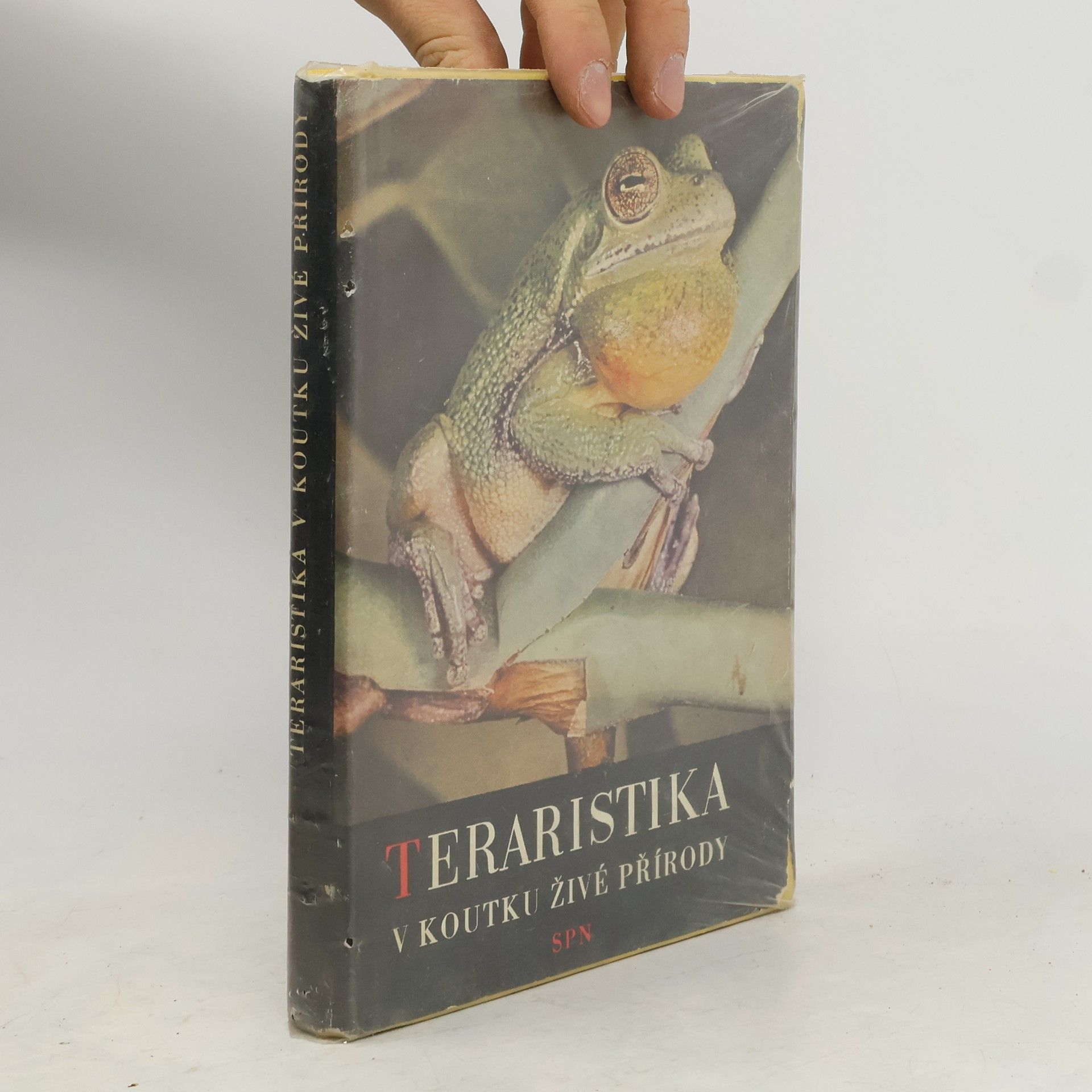 Teraristika v koutku živé přírody