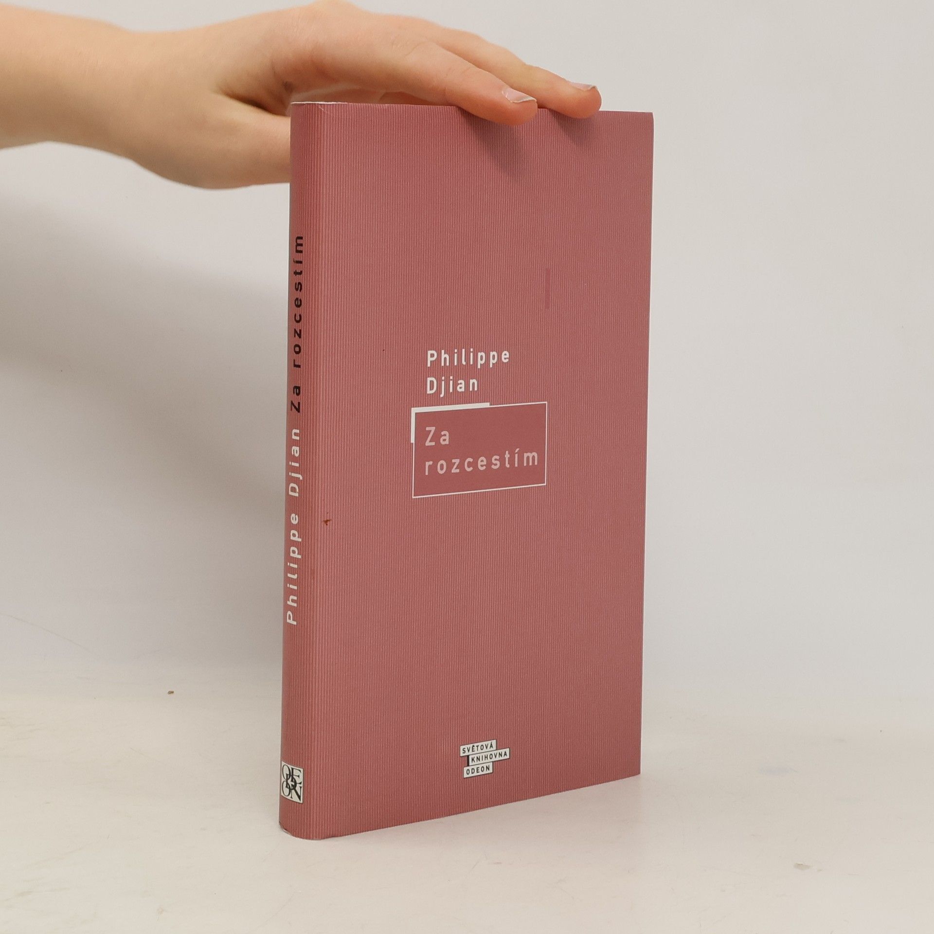 Phillippe Djian Za rozcestím