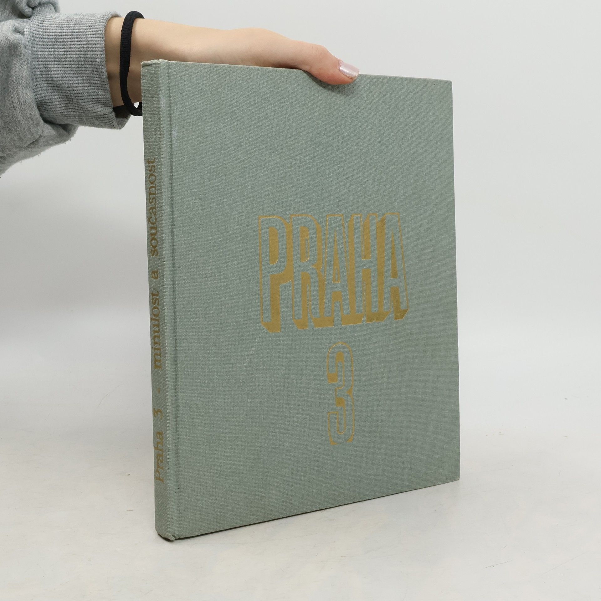 Kolektív autorov Minulost a současnost Prahy 3