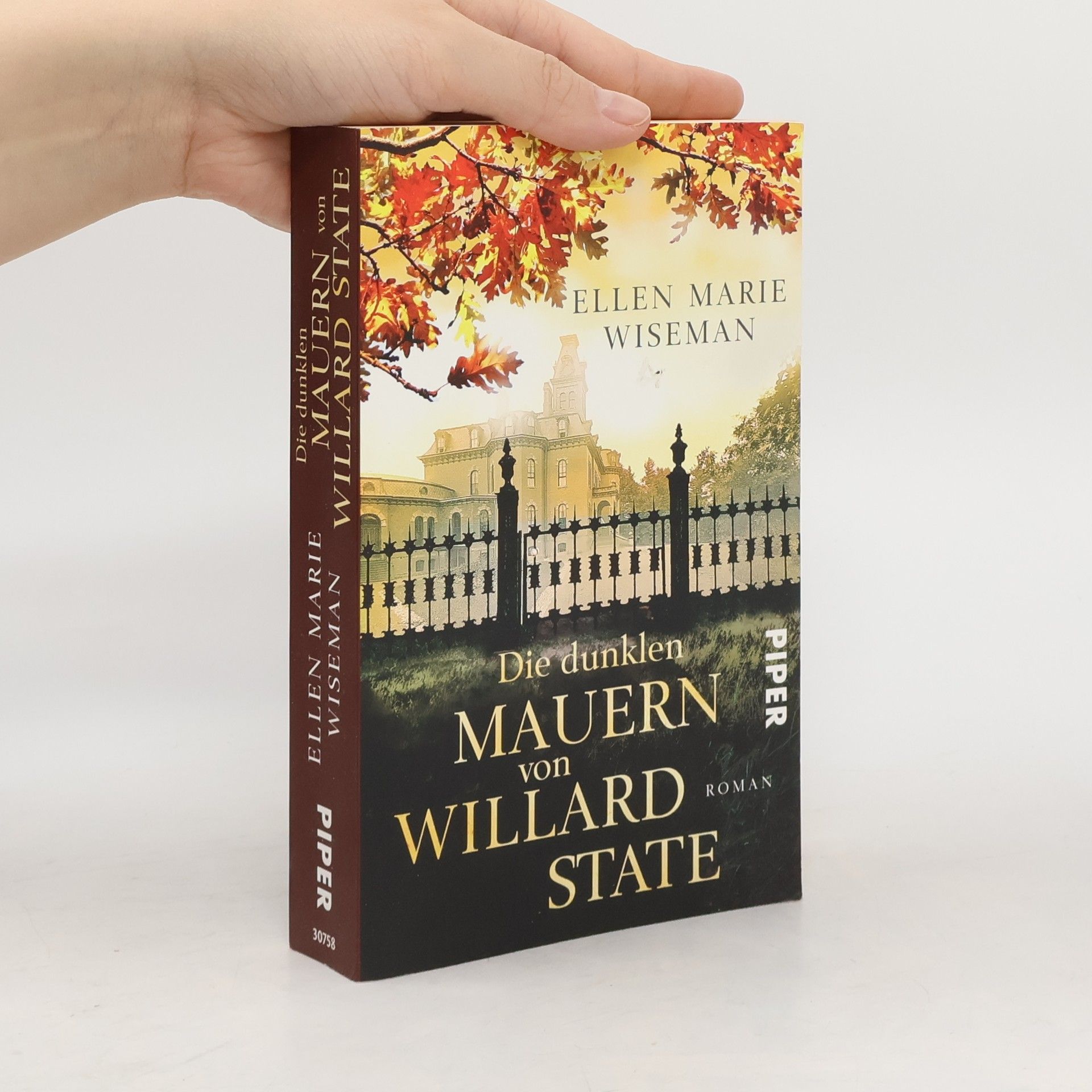 Ellen Marie Wiseman Die dunklen Mauern von Willard State