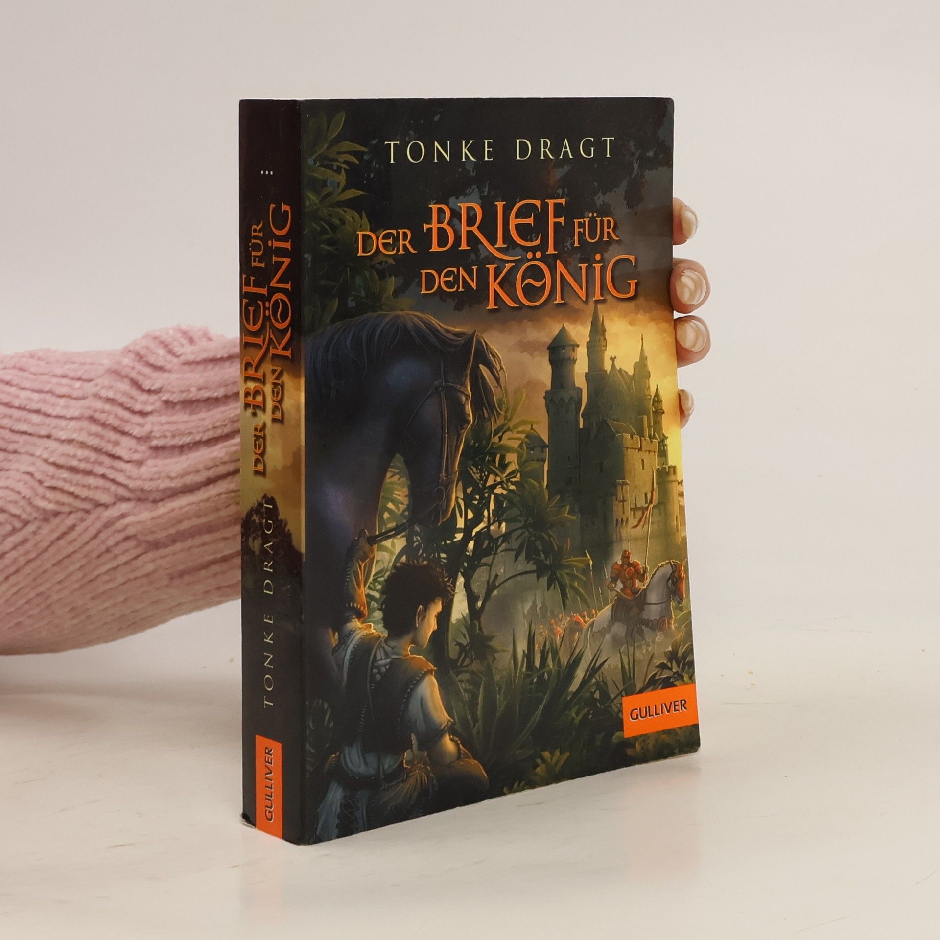 Tonke Dragt Der Brief für den König