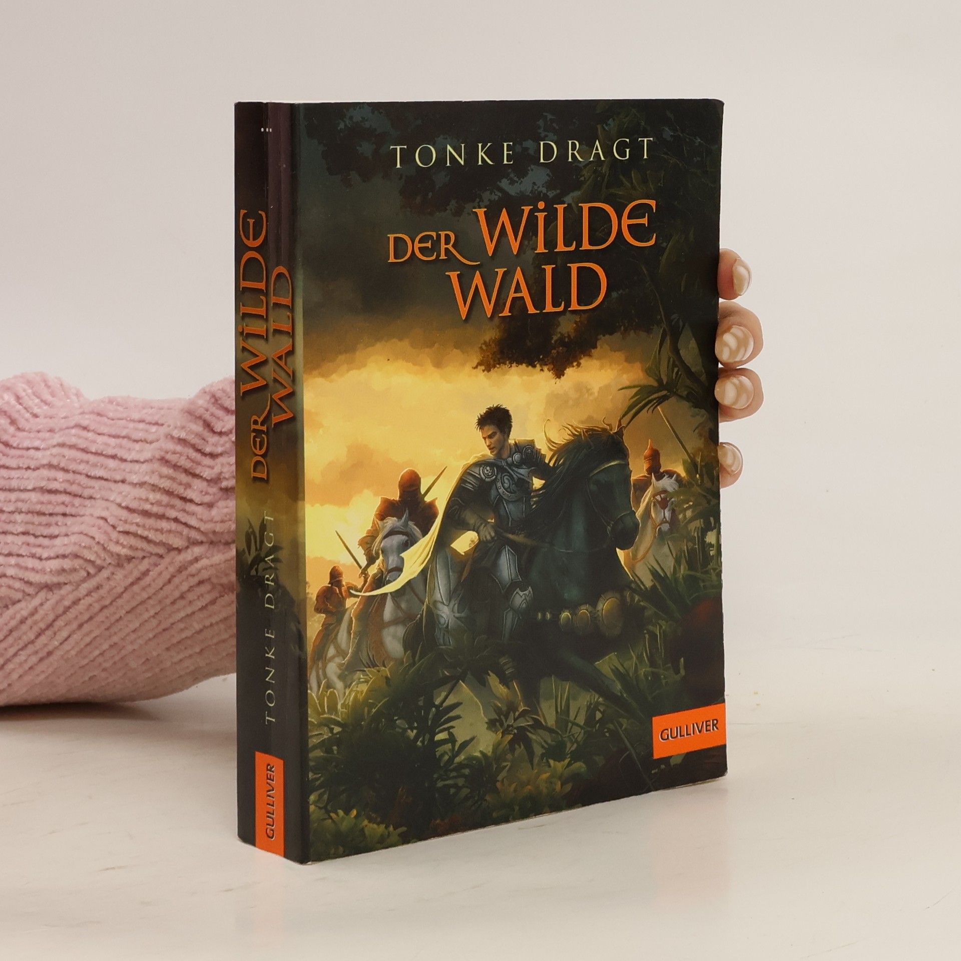 Tonke Dragt Der Wilde Wald