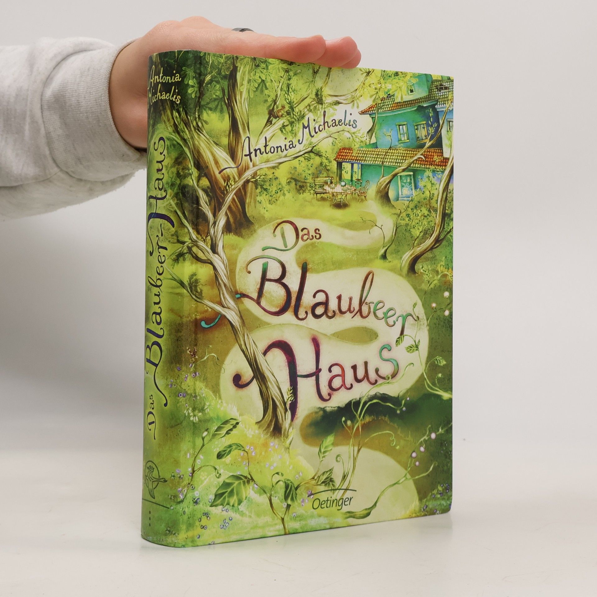 Das Blaubeerhaus