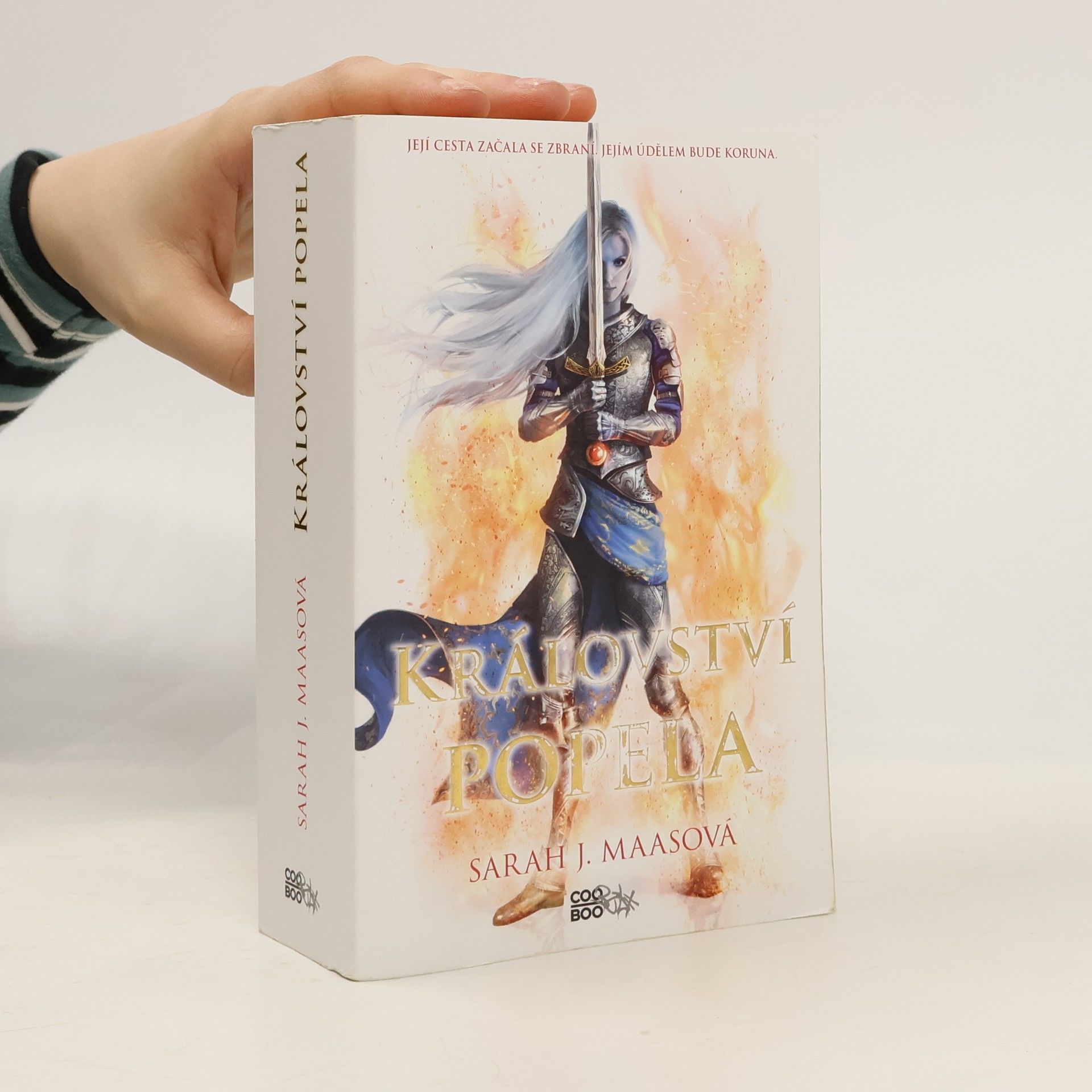 Sarah J. Maas Království popela