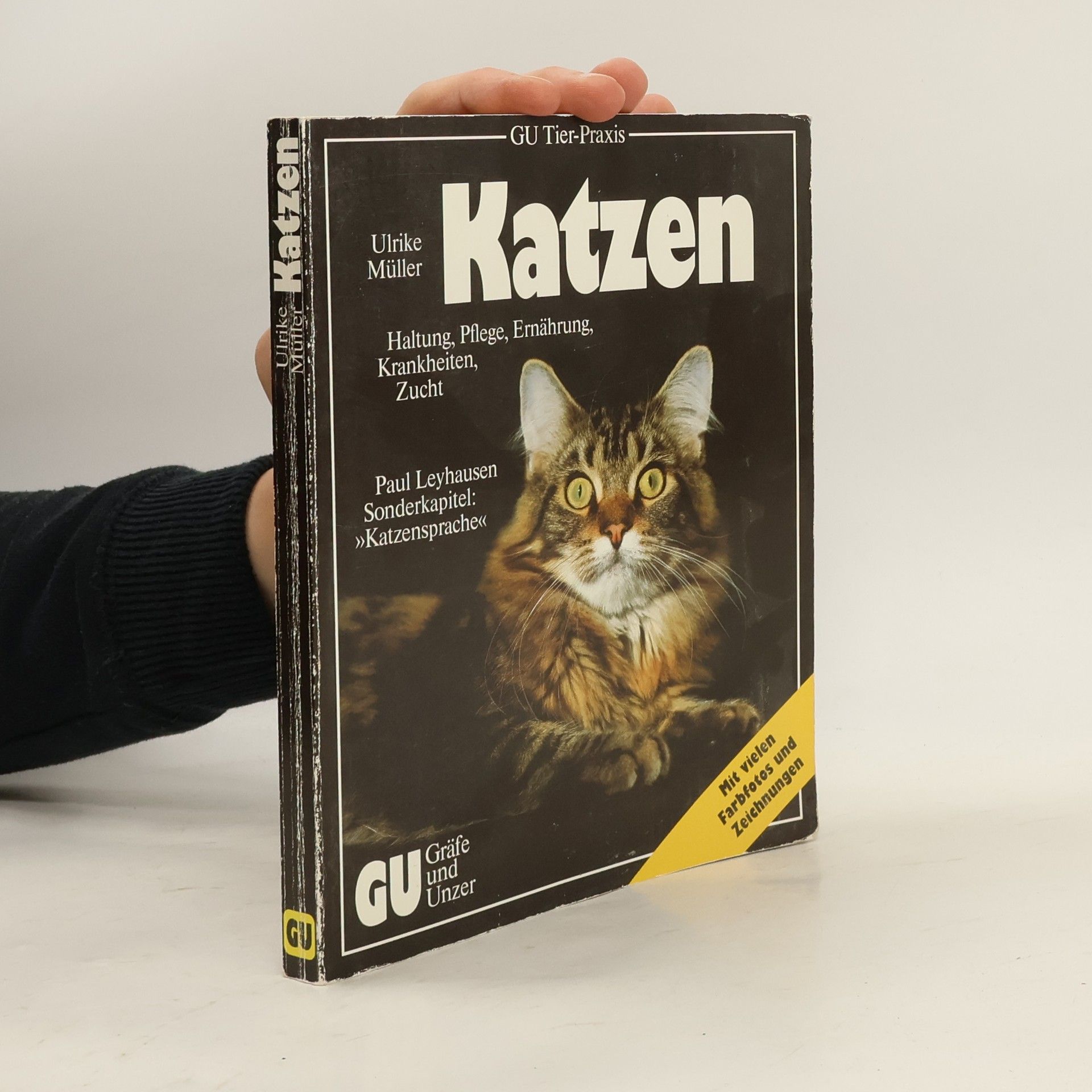 Das neue Katzenbuch