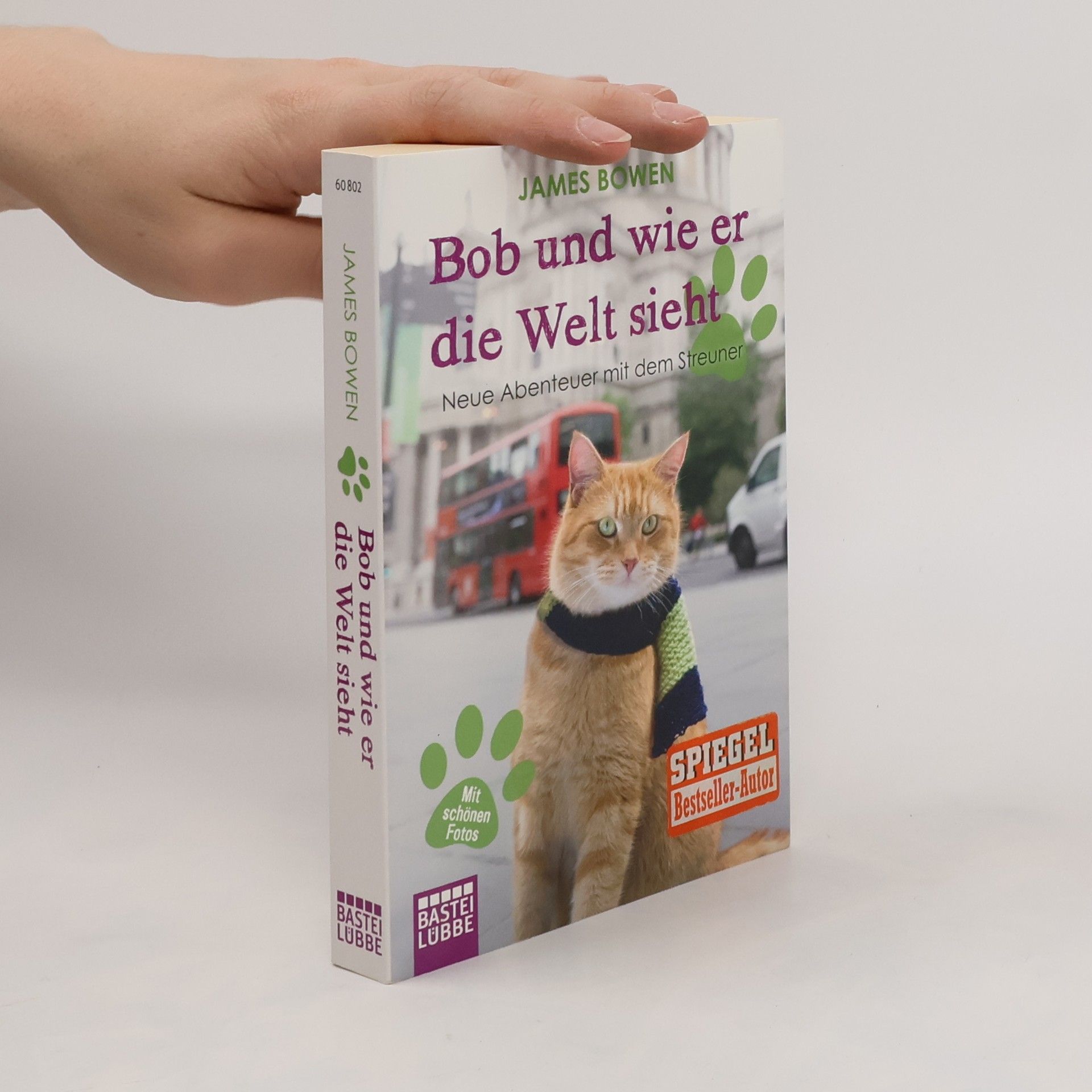 Bob und wie er die Welt sieht