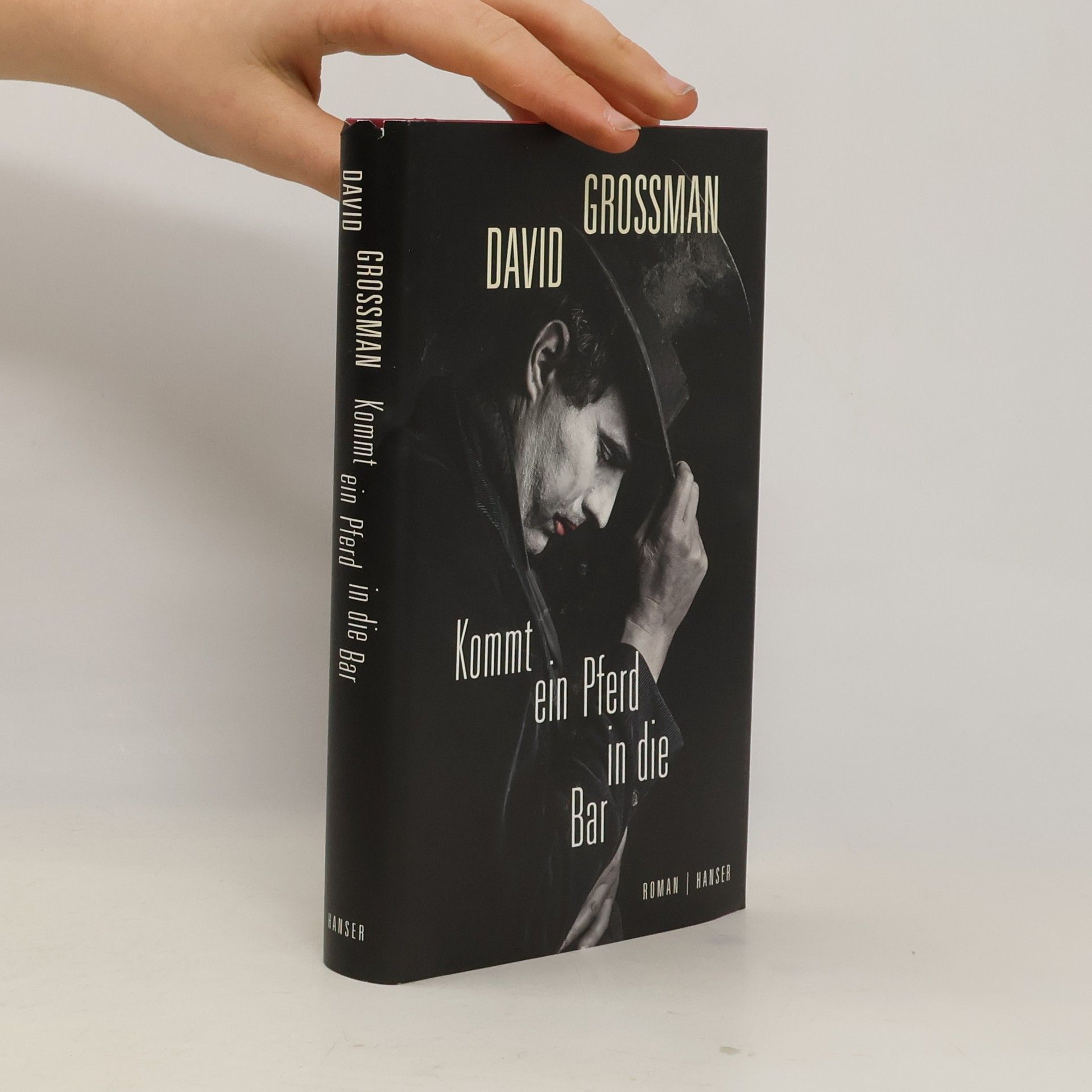 David Grossman Kommt ein Pferd in die Bar