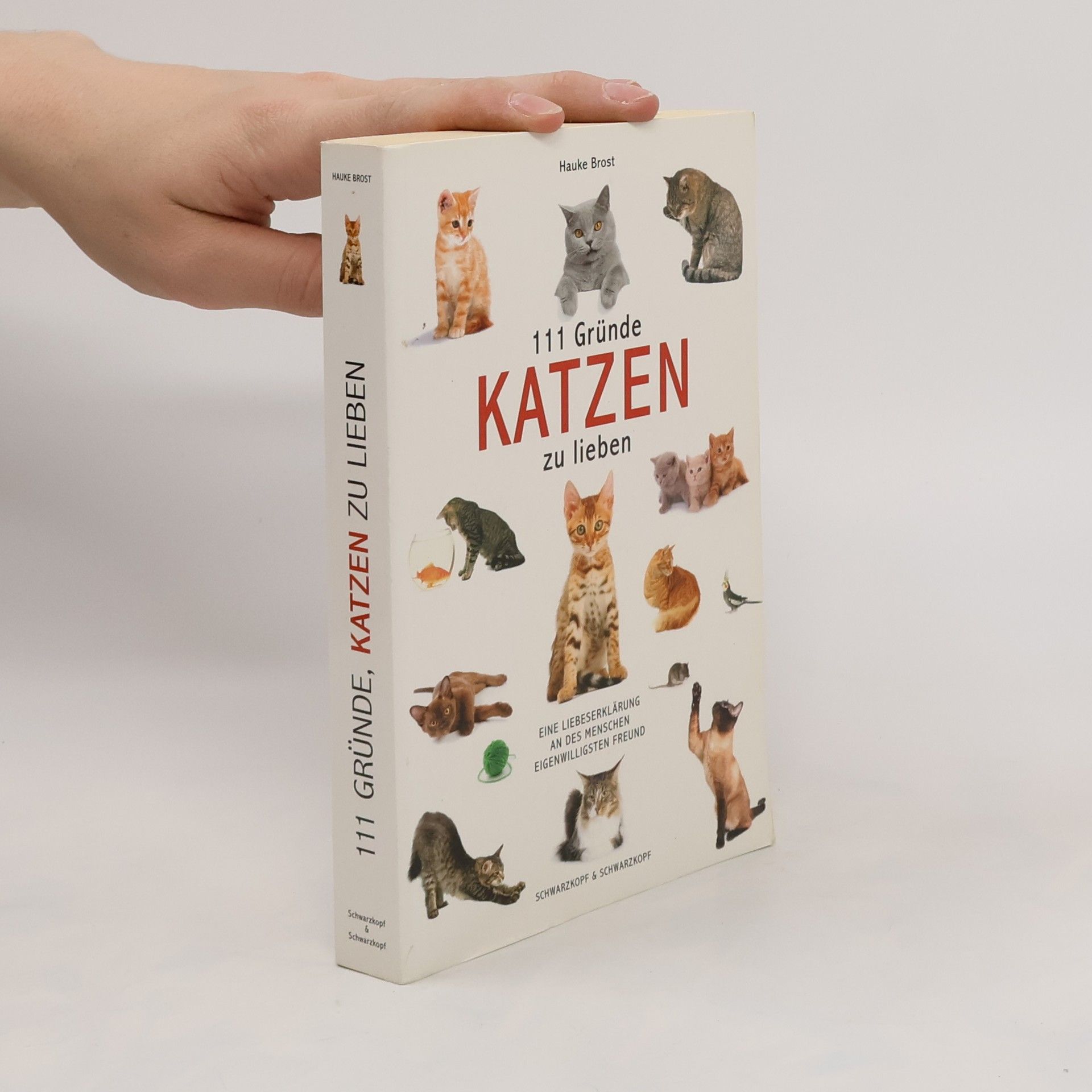 111 Gründe, Katzen zu lieben