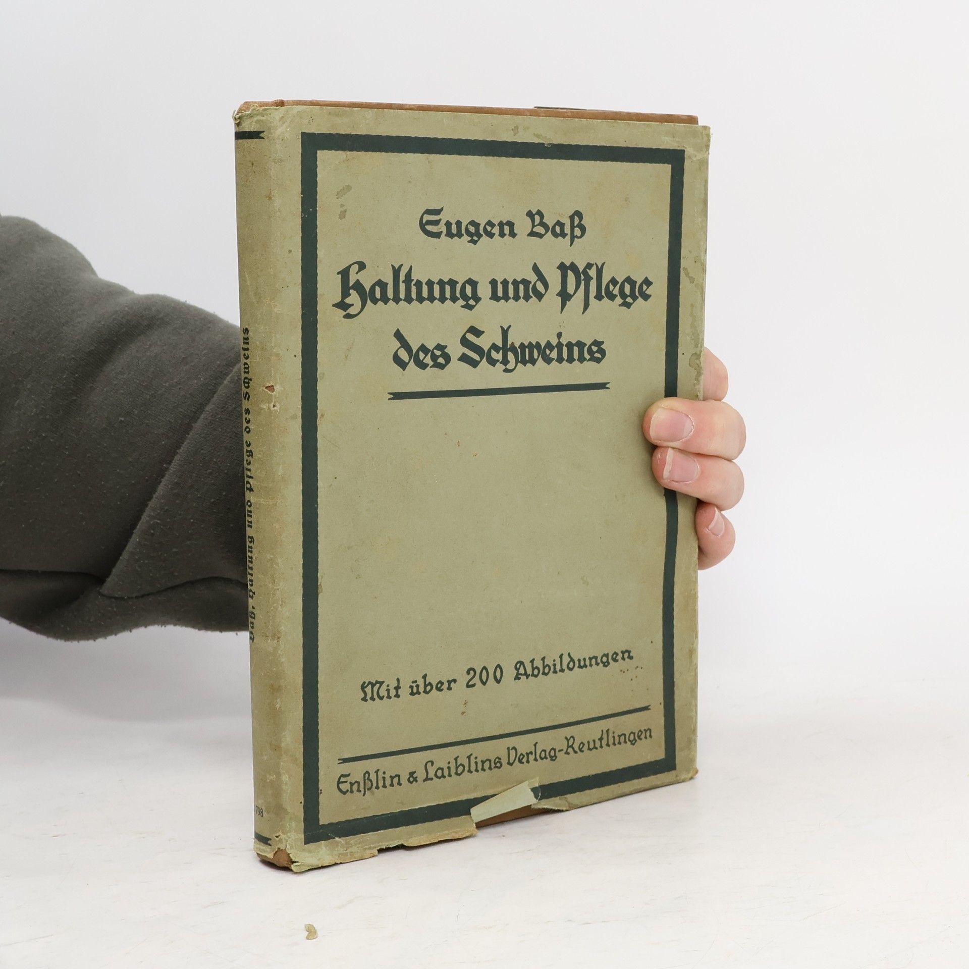 Eugen Bass Haltung und Pflege des Schweins