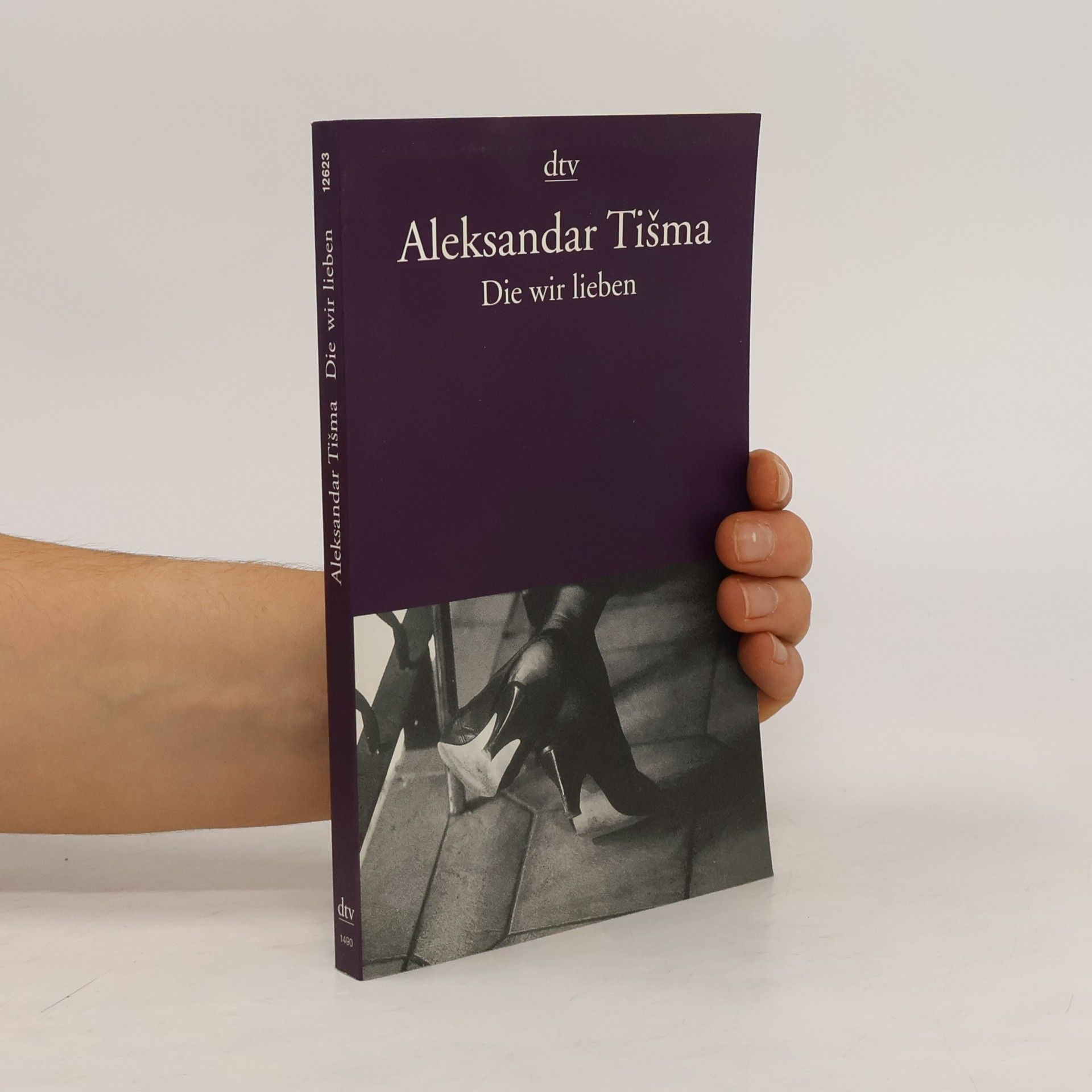 Aleksandar Tišma Die wir lieben