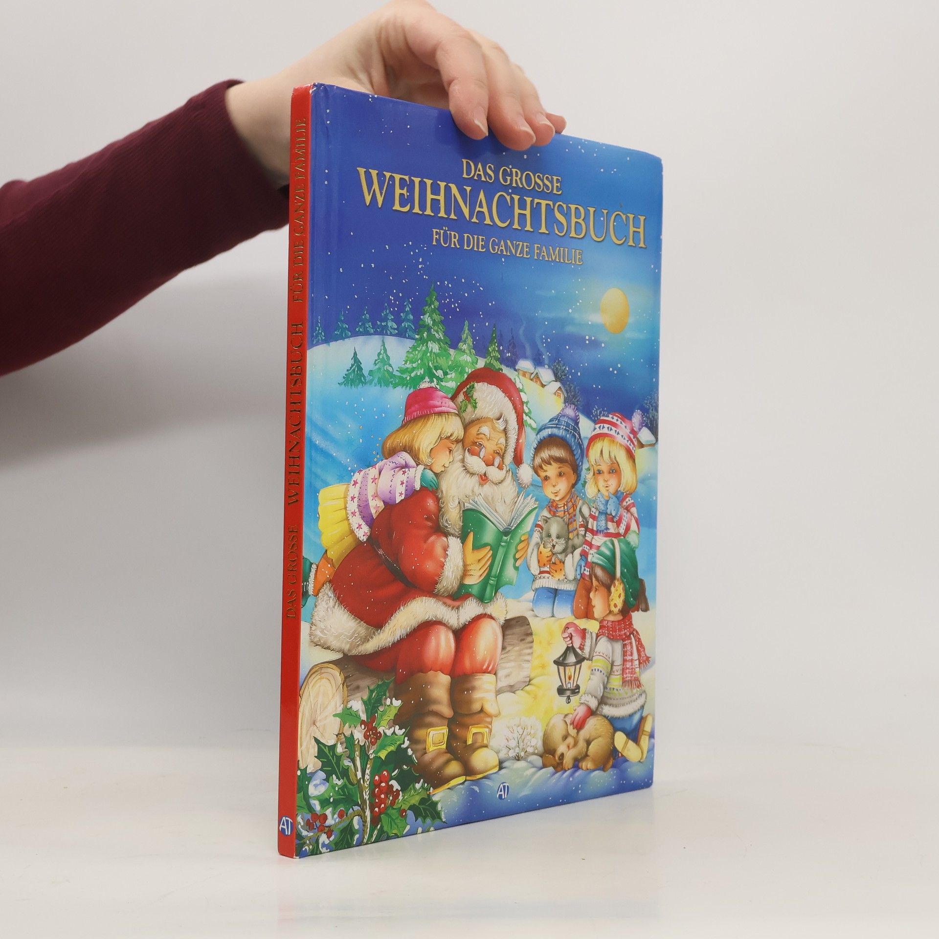Collectif d'auteurs Das große Weihnachtsbuch für die ganze Familie