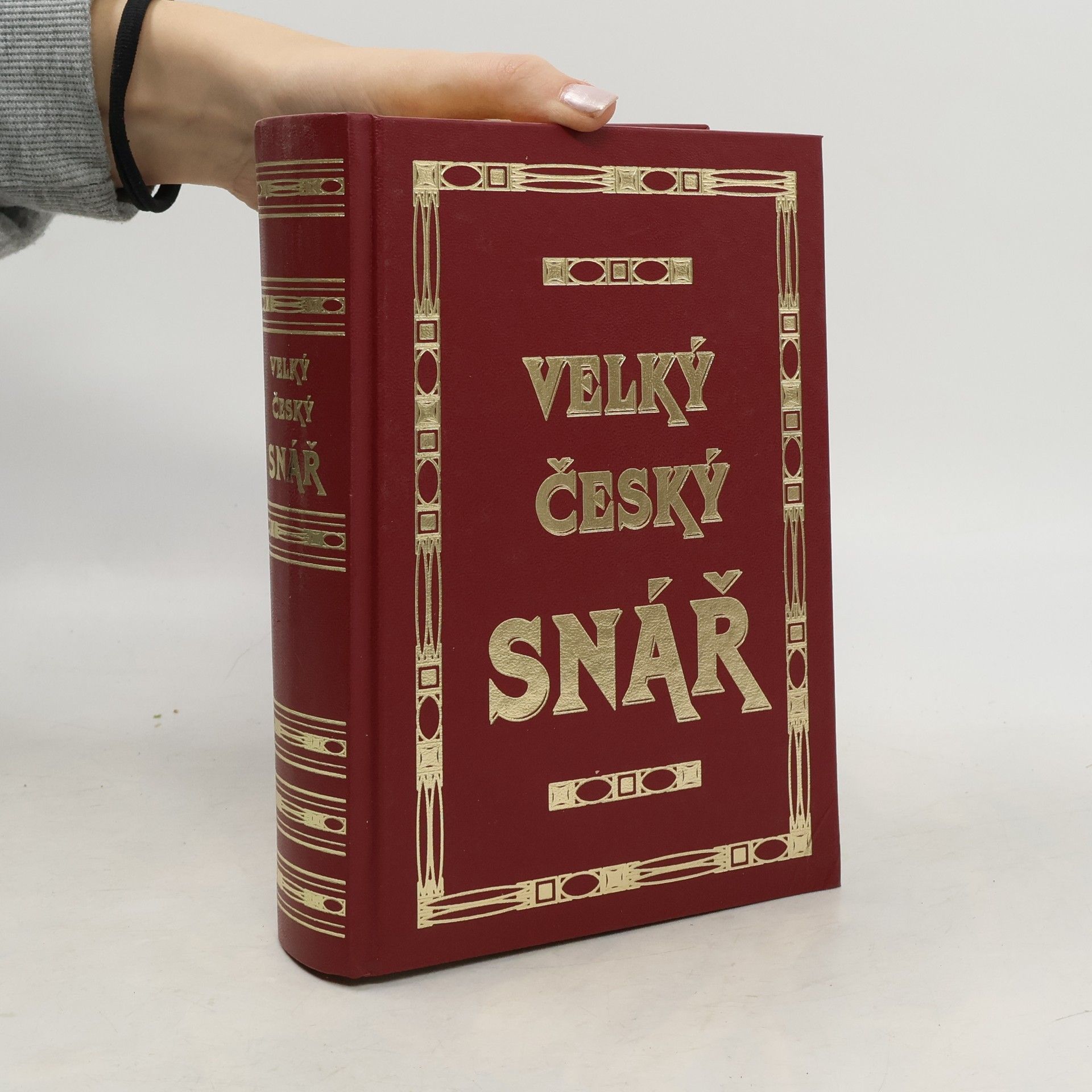 Anna Nováková Velký český snář