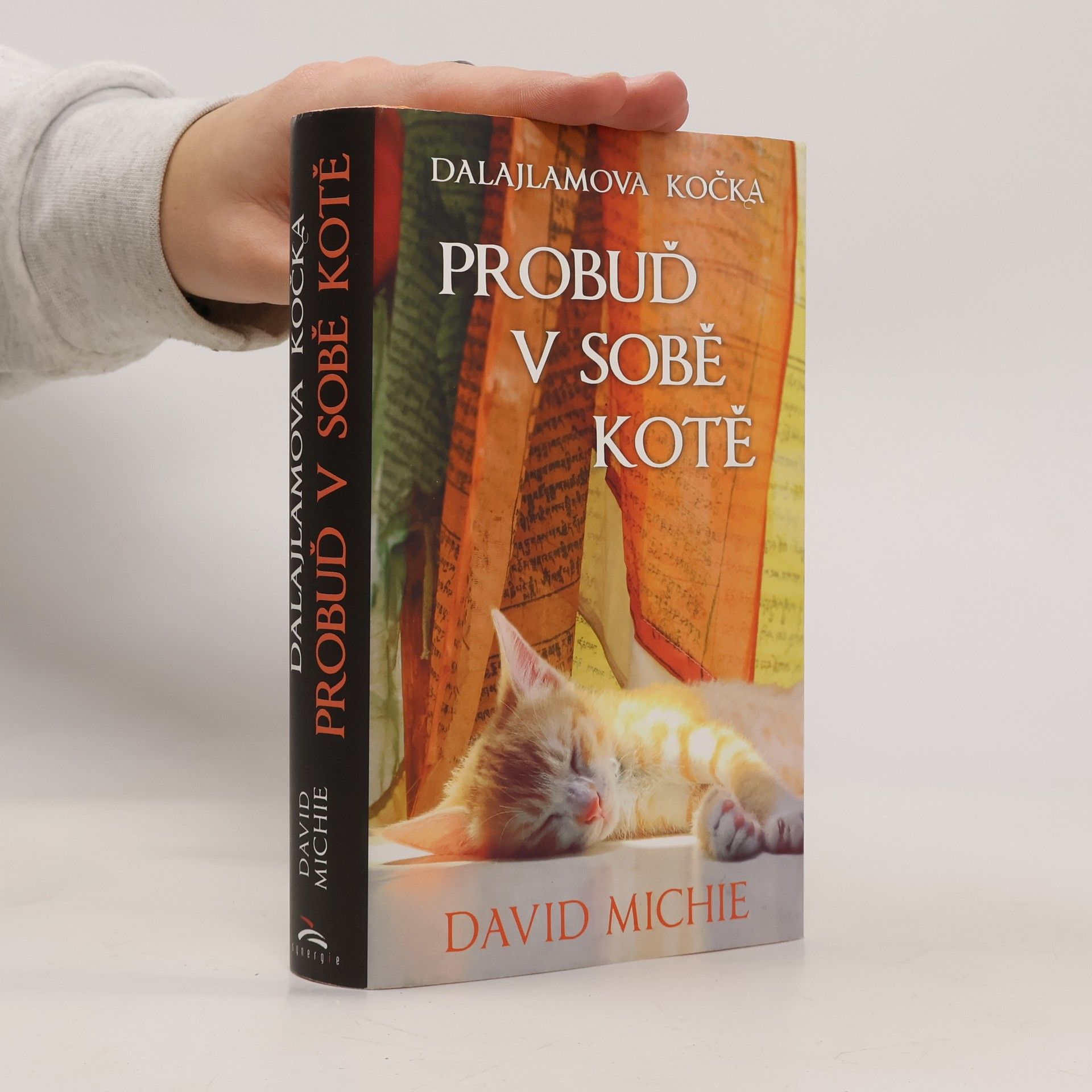 David Michie Dalajlamova kočka - probuď v sobě kotě