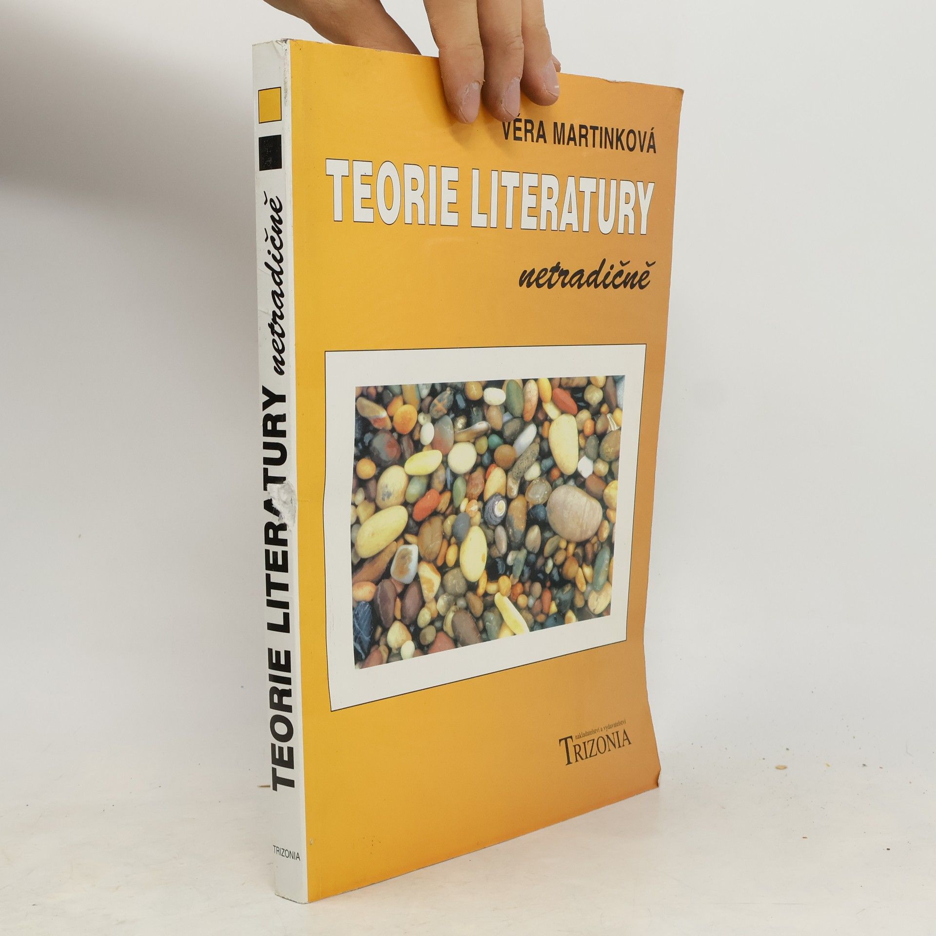 Teorie literatury netradičně