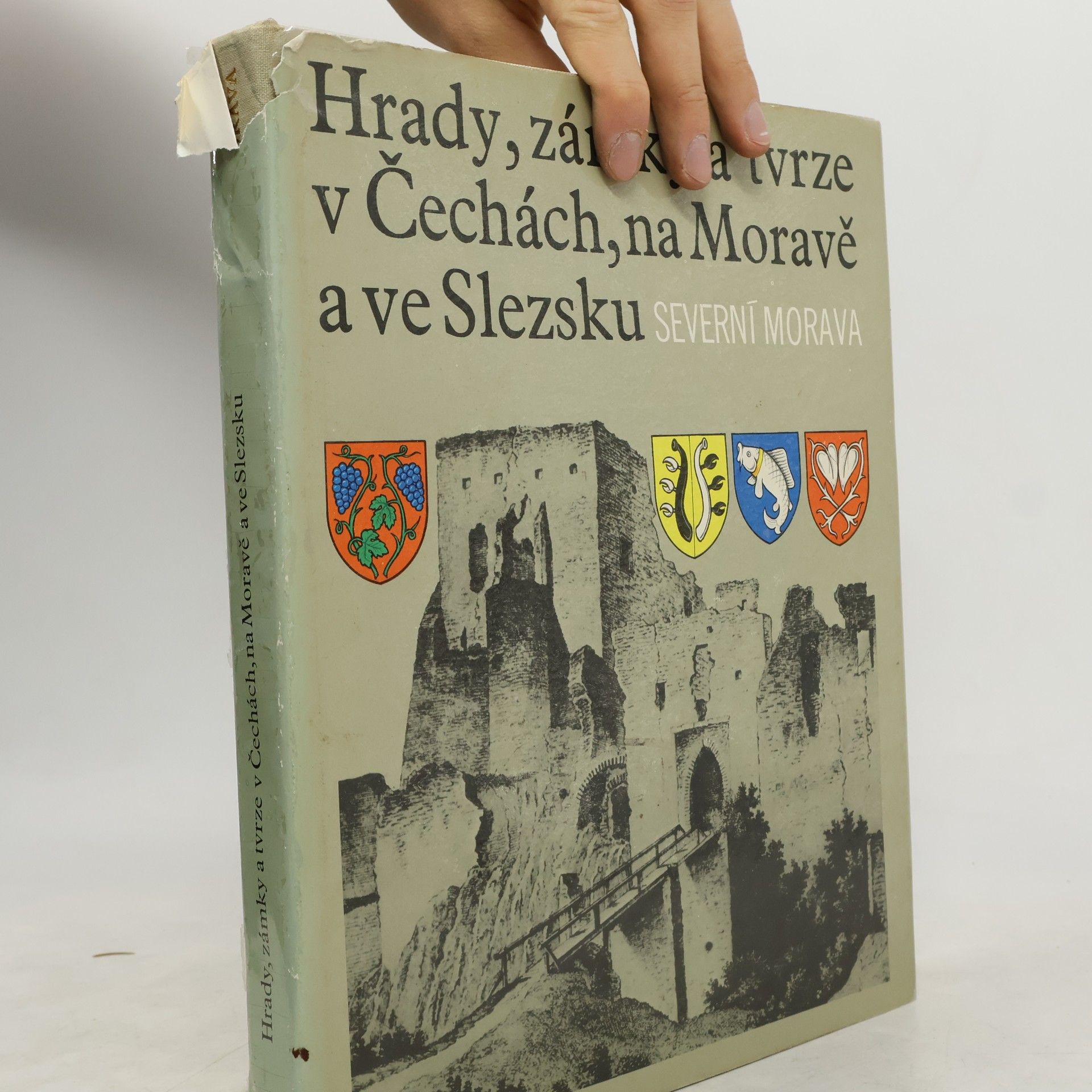 Various authors Hrady, zámky a tvrze v Čechách, na Moravě a ve Slezsku II. Severní Morava