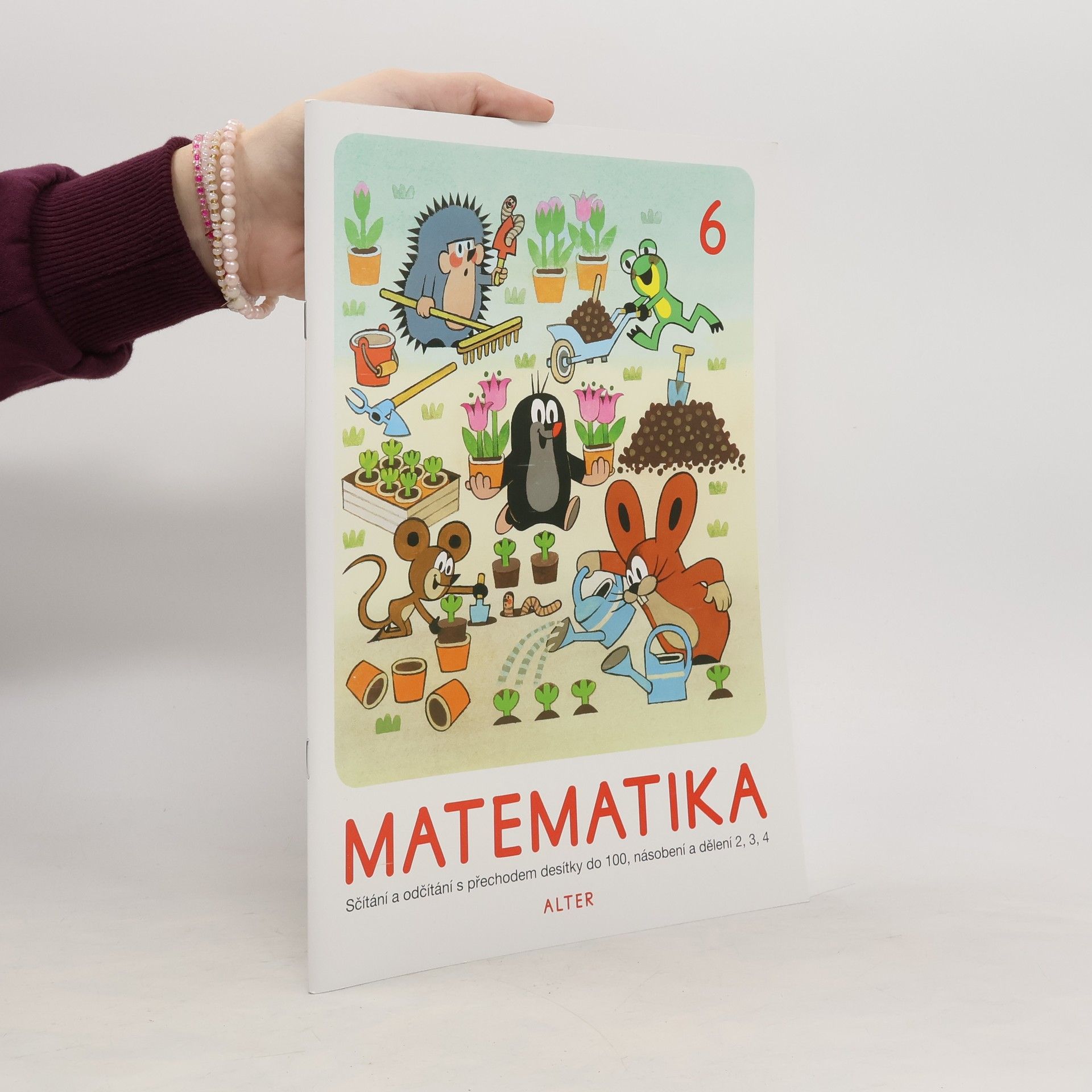 Matematika 6. Sčítání a odčítání s přechodem desítky do 100, násobení a dělení 2, 3, 4