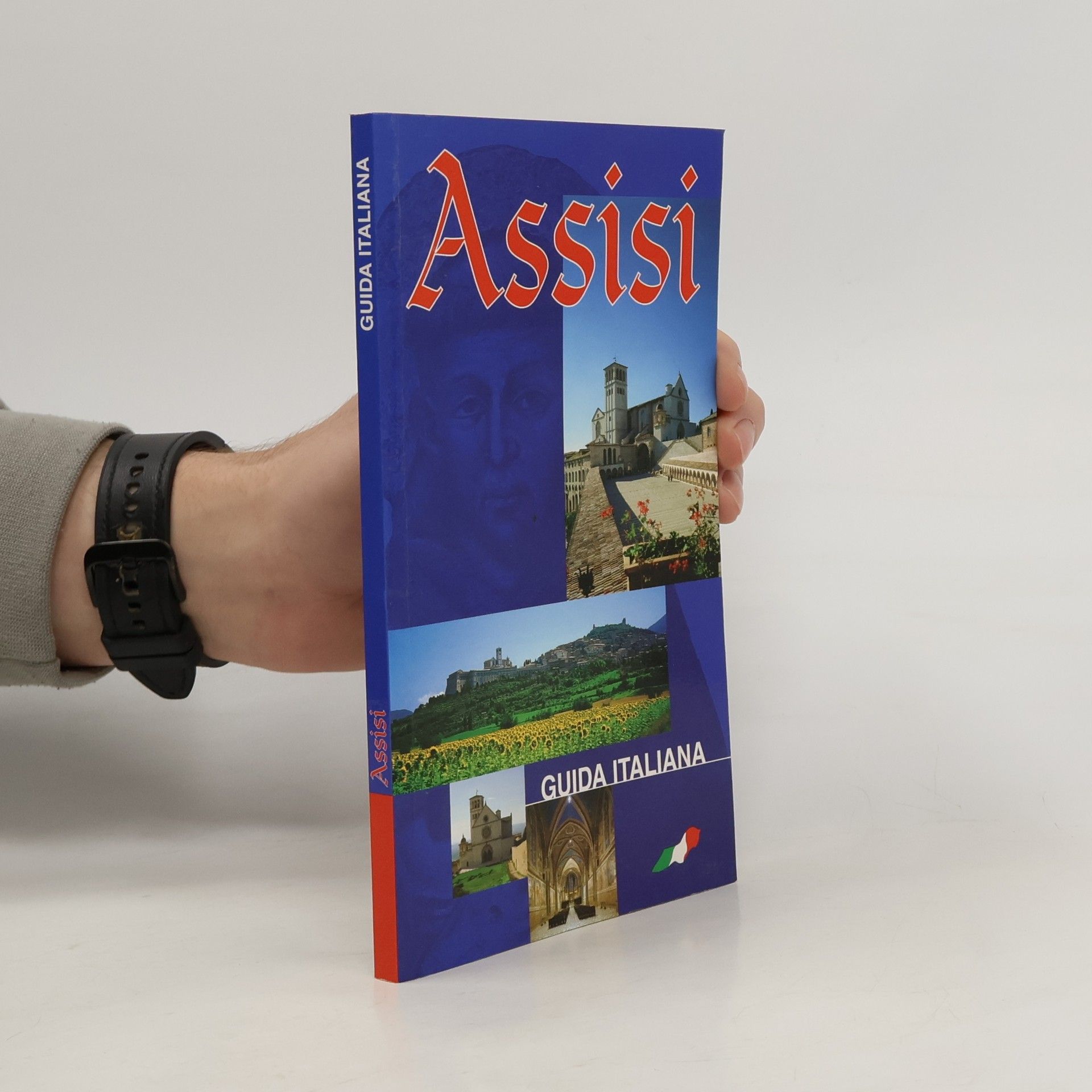 Costantino Troiano Assisi guida italiana