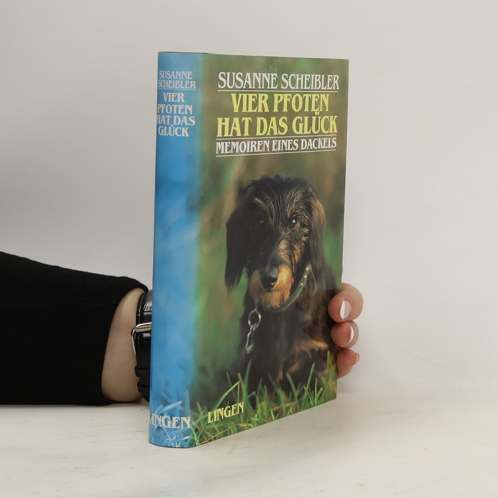 Vier Pfoten hat das Glück