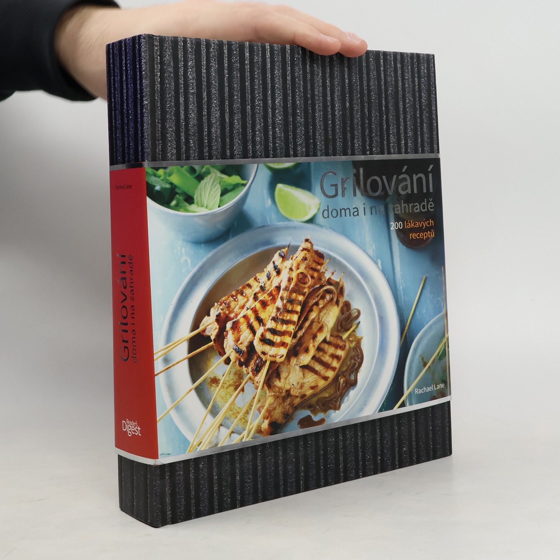 Rachel Lane Grilování doma i na zahradě