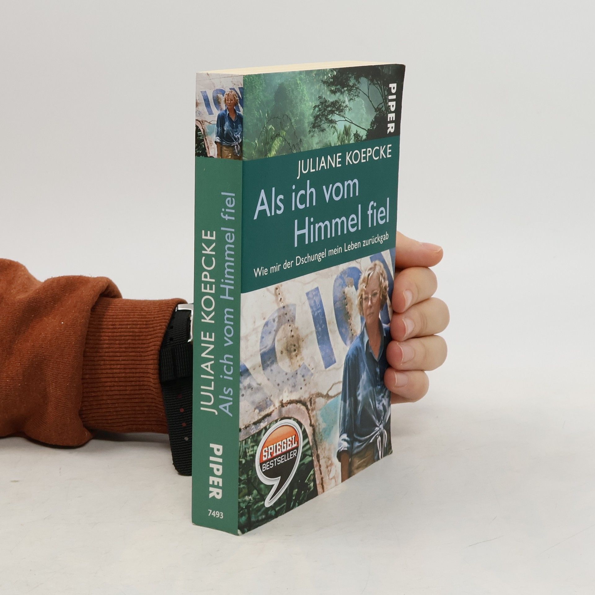 Als ich vom Himmel fiel