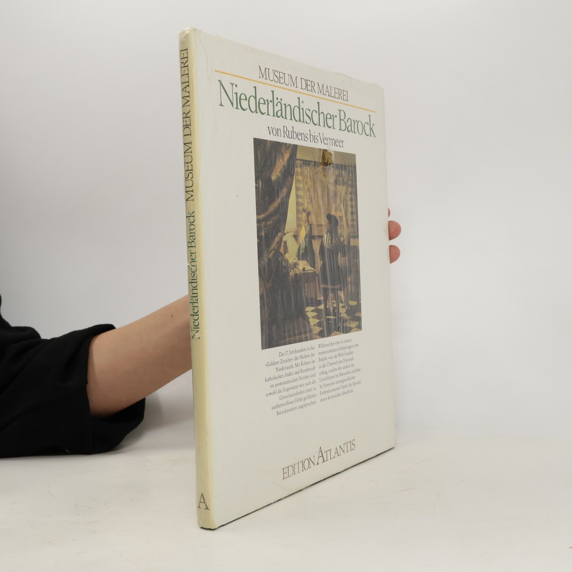 Autorenkollektiv Museum der Malerei: Niederländischer Barock von Rubens bis Vermeer