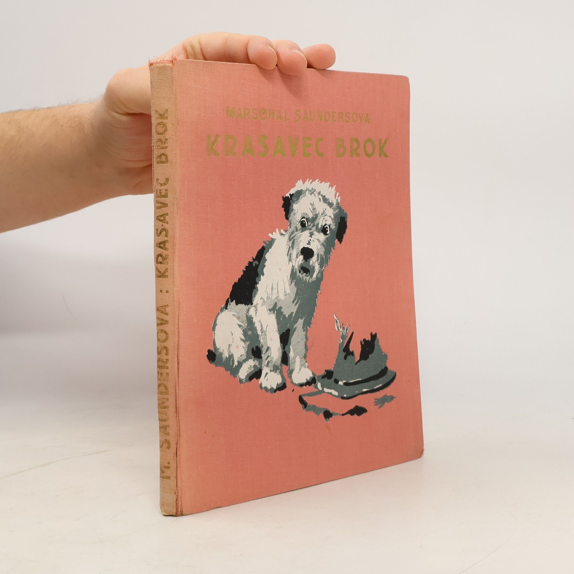 Margaret Marshall Saunders Krasavec Brok