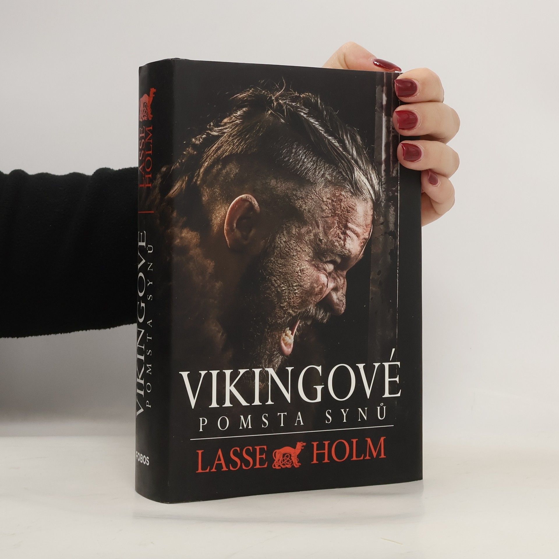 Lasse Holm Vikingové. Pomsta synů