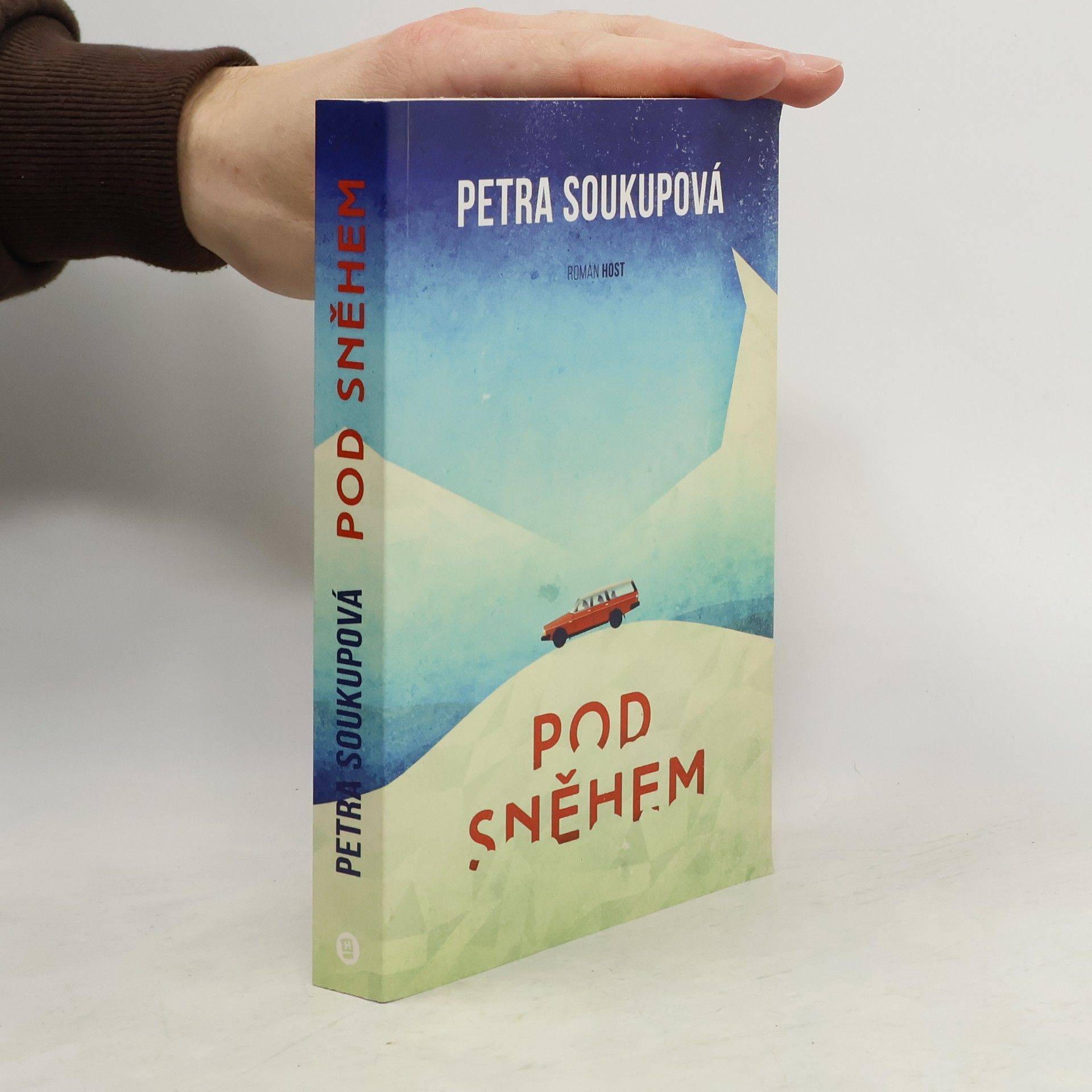 Petra Soukupová Pod sněhem