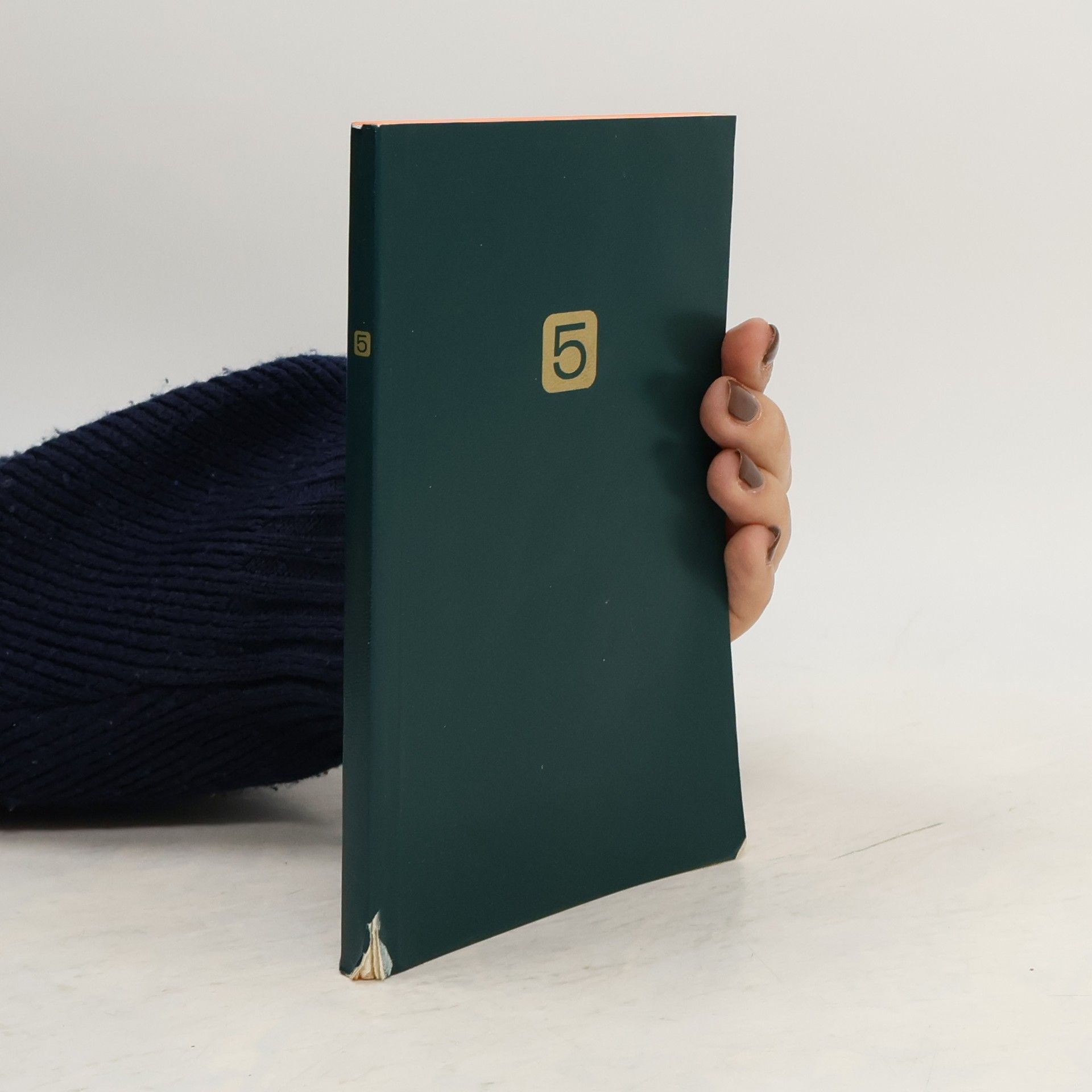 Autorenkollektiv Denni modlitba církve. Lekcionář pro modlitbu se čtením 5