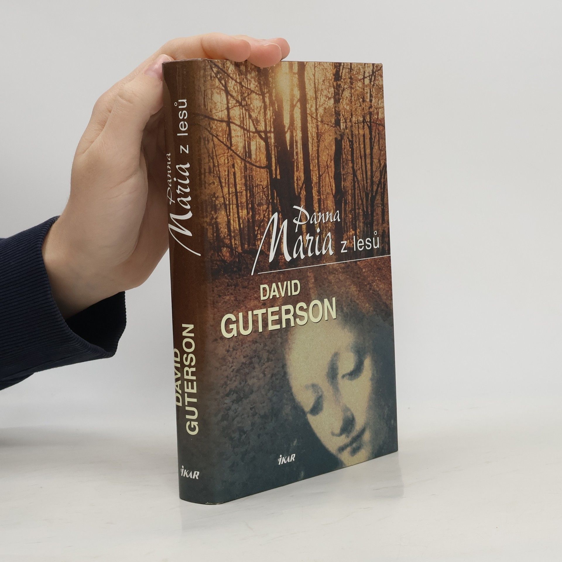David Guterson Panna Maria z lesů