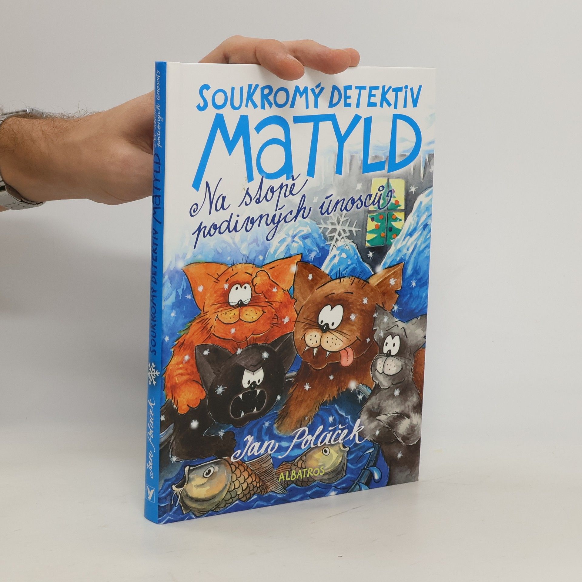 Soukromý detektiv Matyld : na stopě podivných únosců