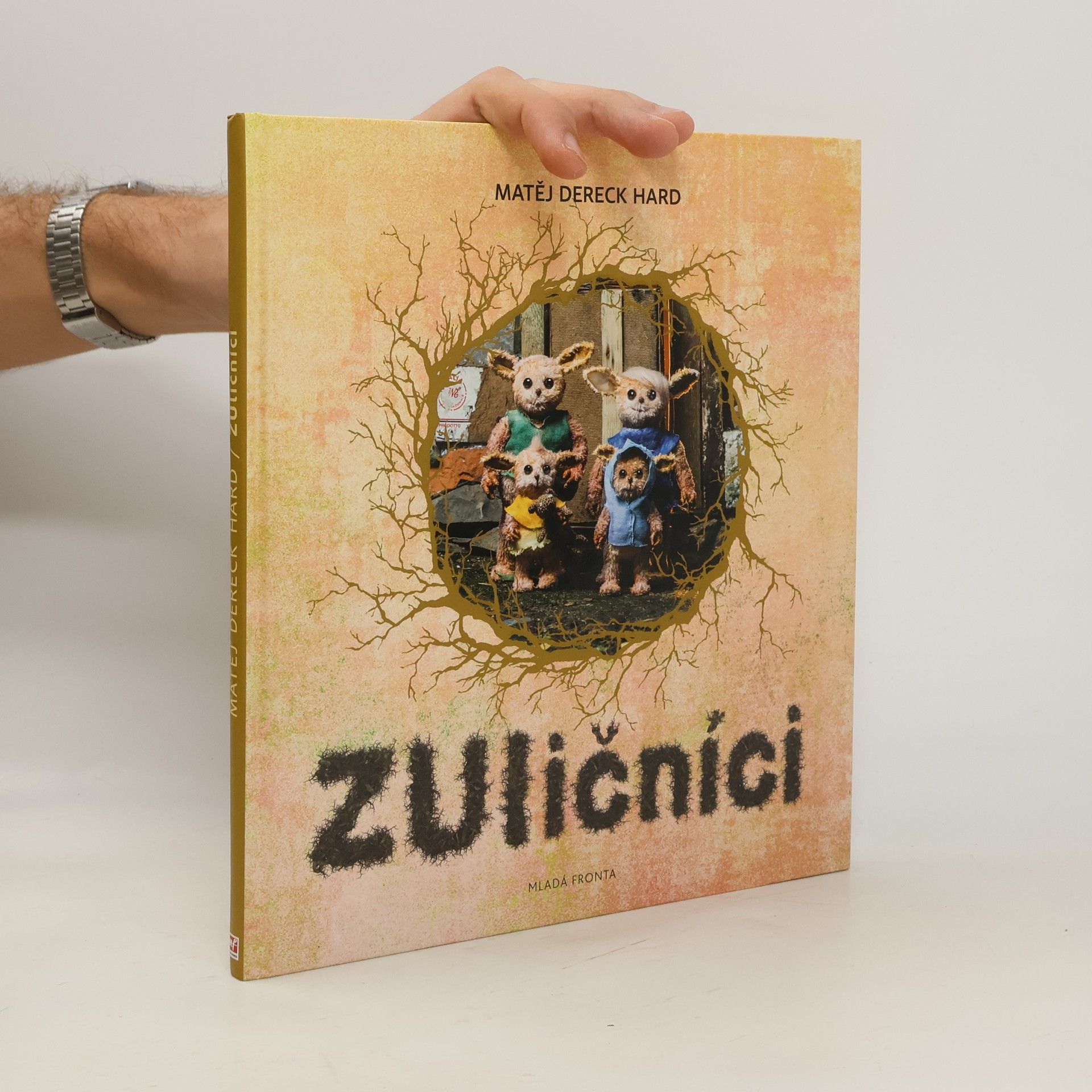 Dereck Hard ZUličníci