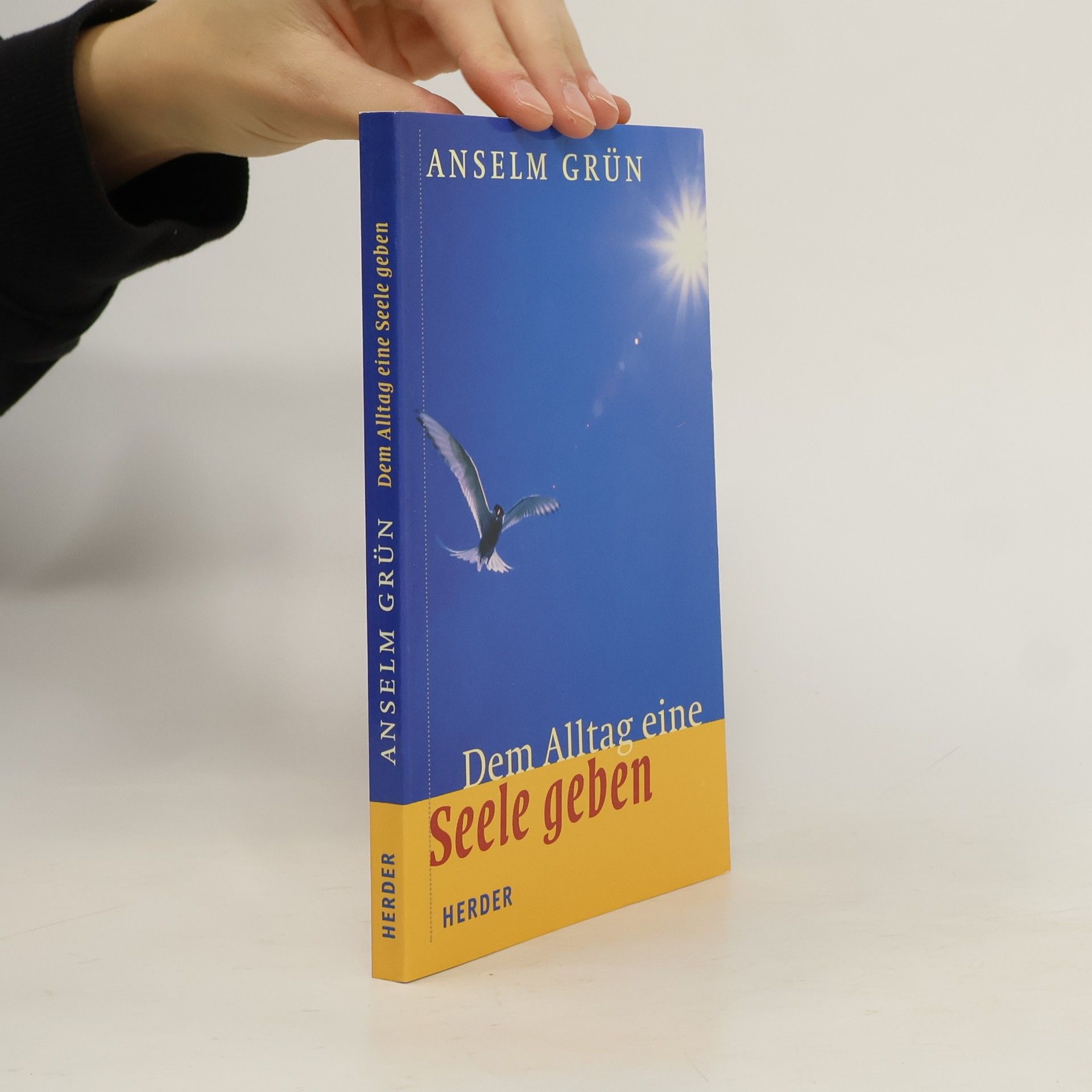 Anselm Grün Dem Alltag eine Seele geben