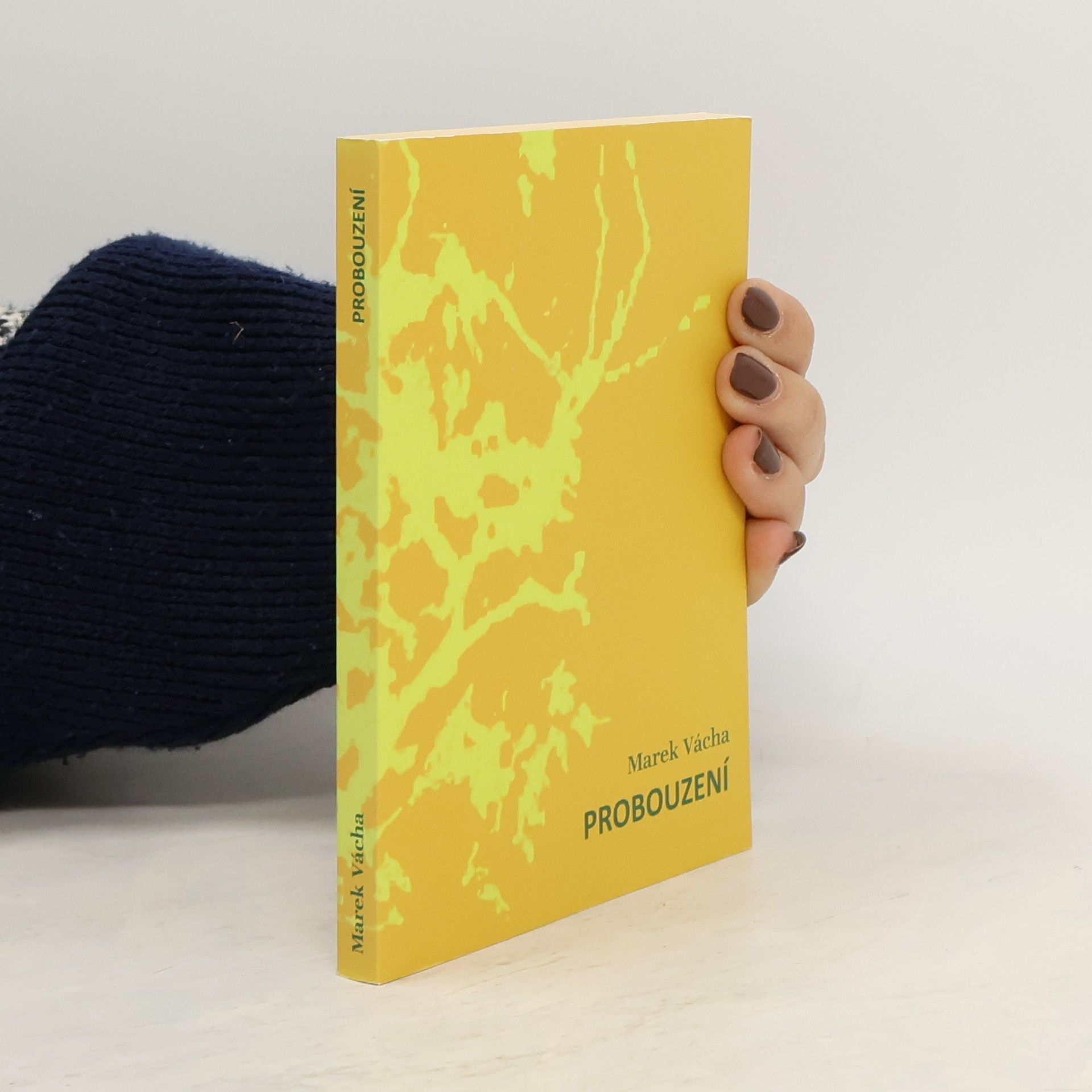 Marek Vácha Probouzení