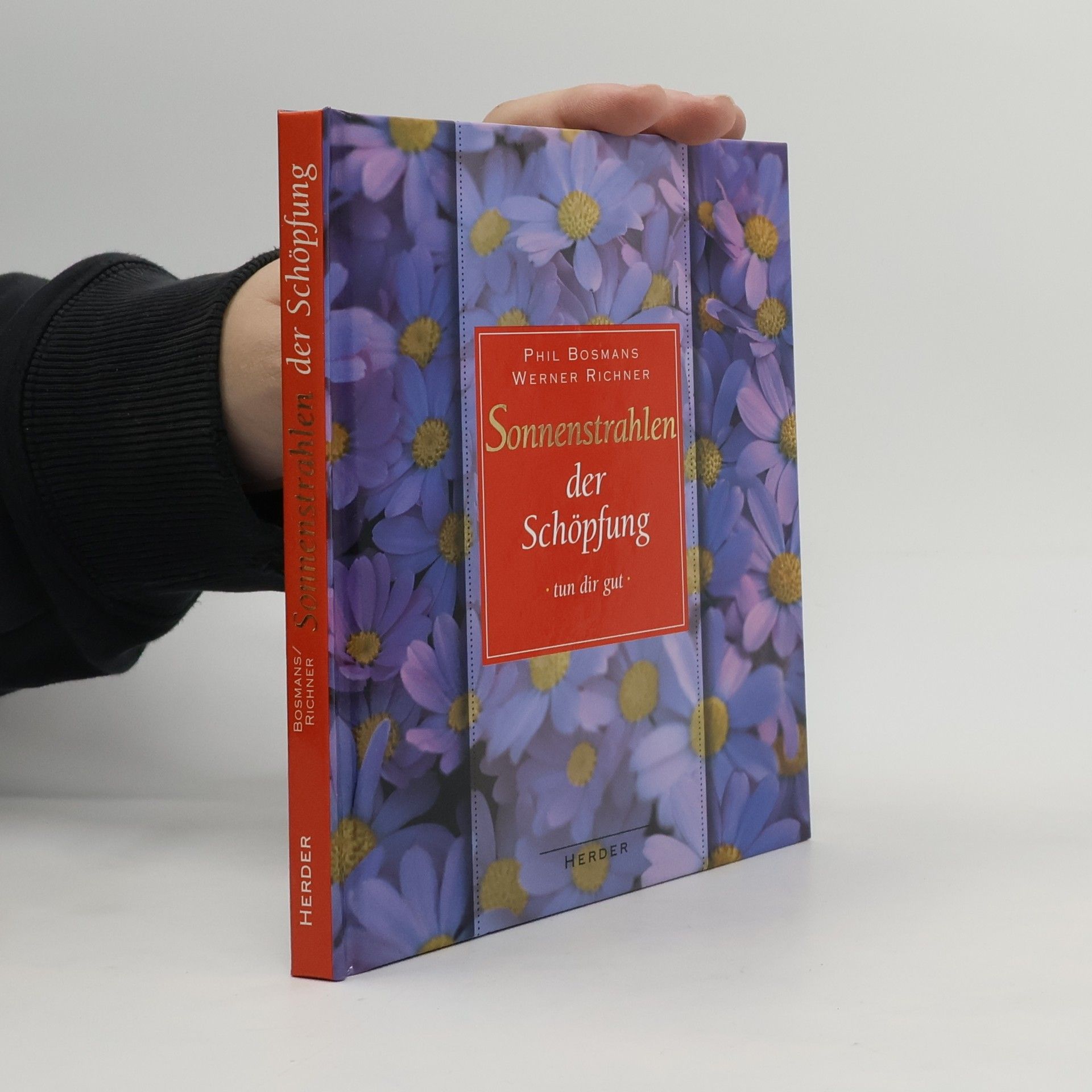 Phil Bosmans Sonnenstrahlen der Schöpfung