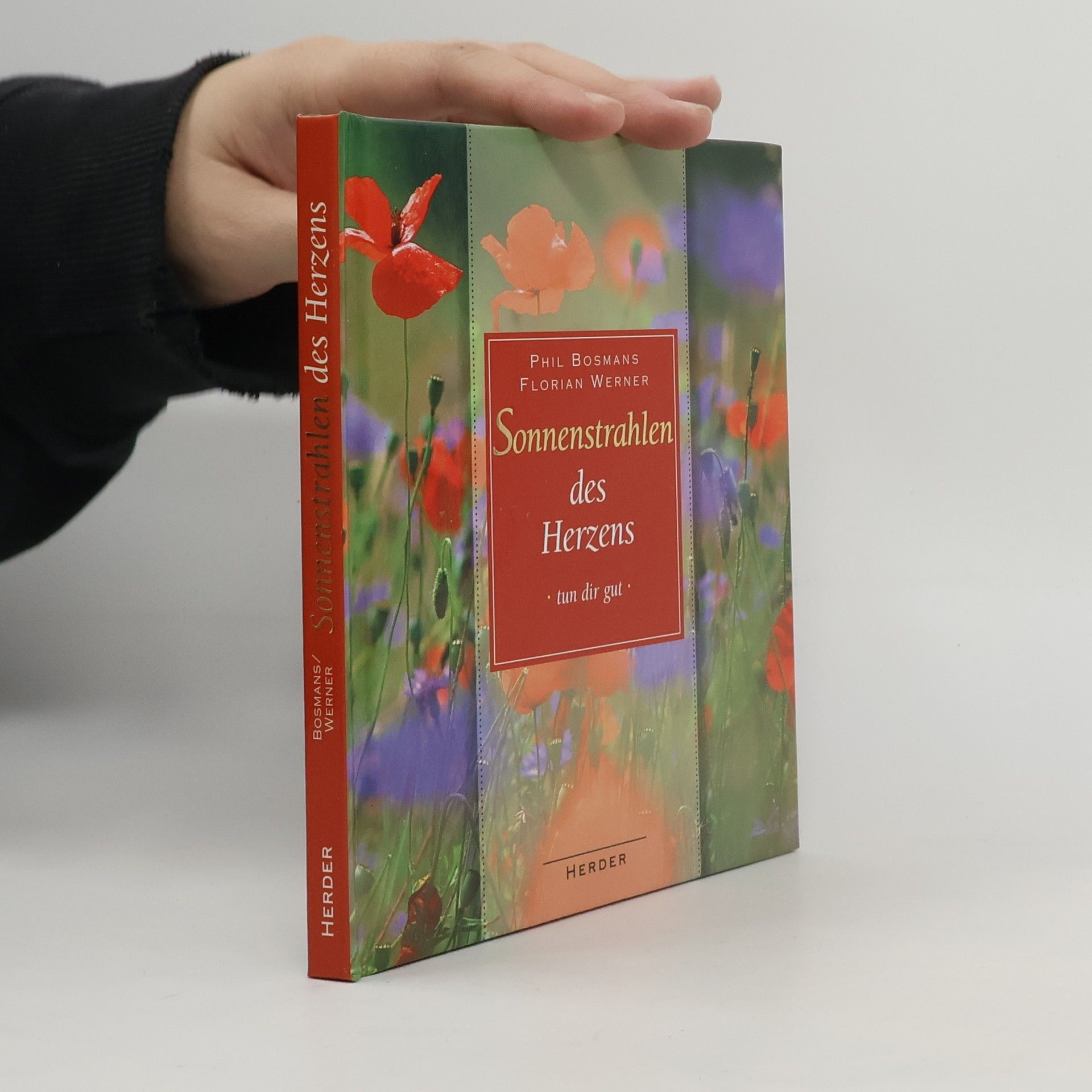 Phil Bosmans Sonnenstrahlen des Herzens